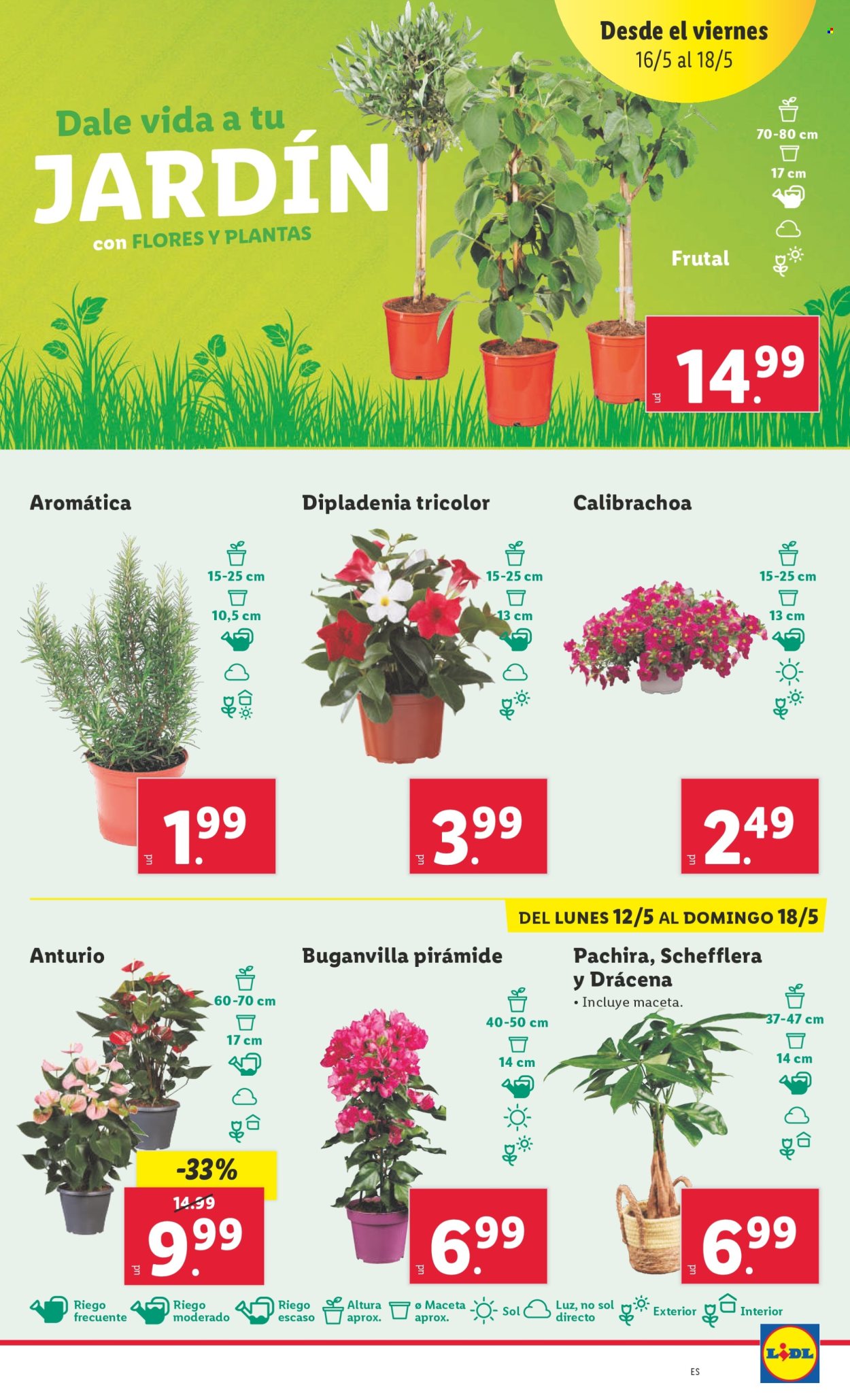 Folleto Lidl - 12/05/25 - 18/05/25. Página 13