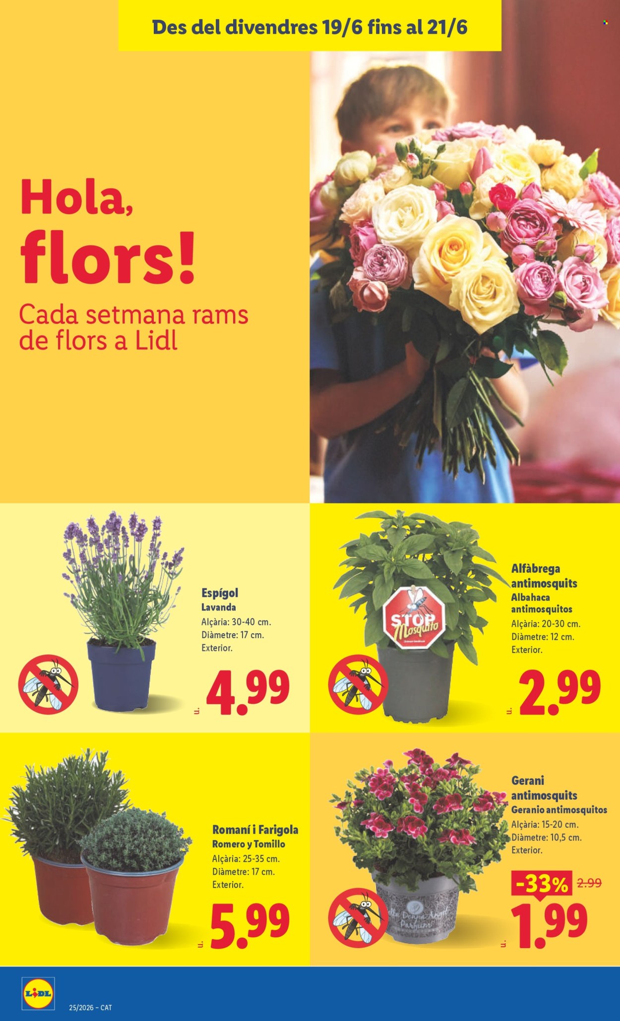 Folleto Lidl - 15/06/26 - 21/06/26. Página 64