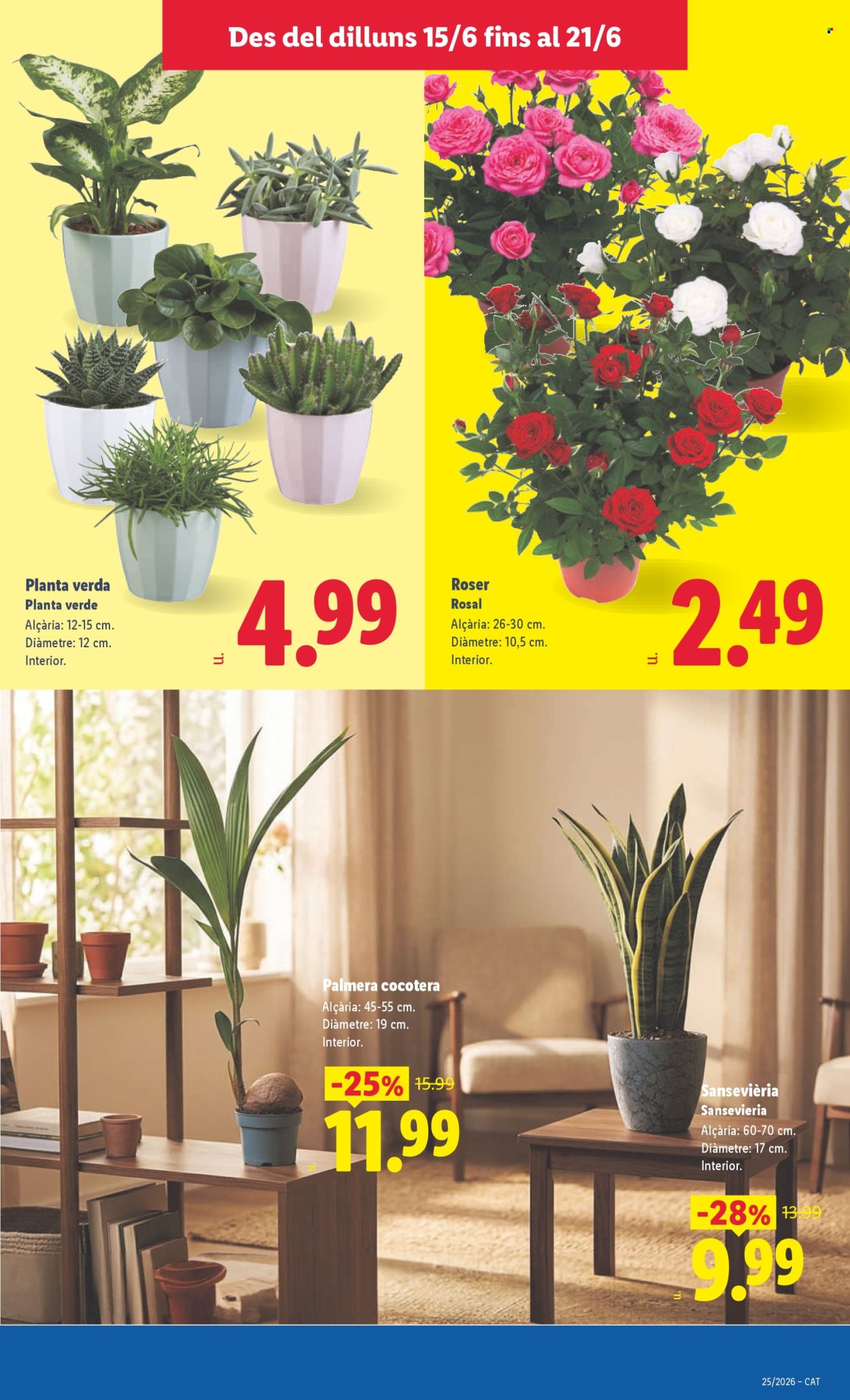 Folleto Lidl - 15/06/26 - 21/06/26. Página 65