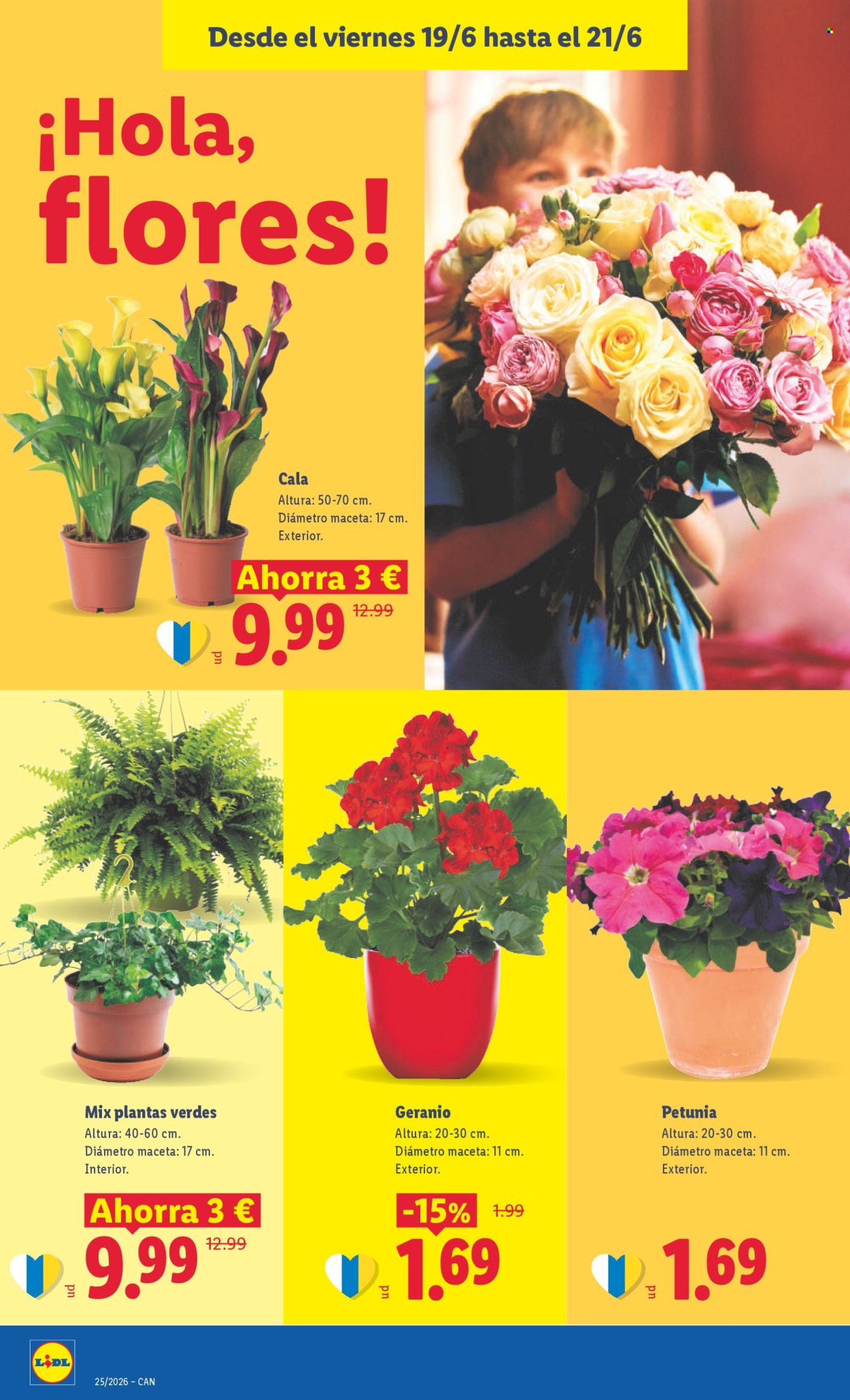 Folleto Lidl - 15/06/26 - 21/06/26. Página 64