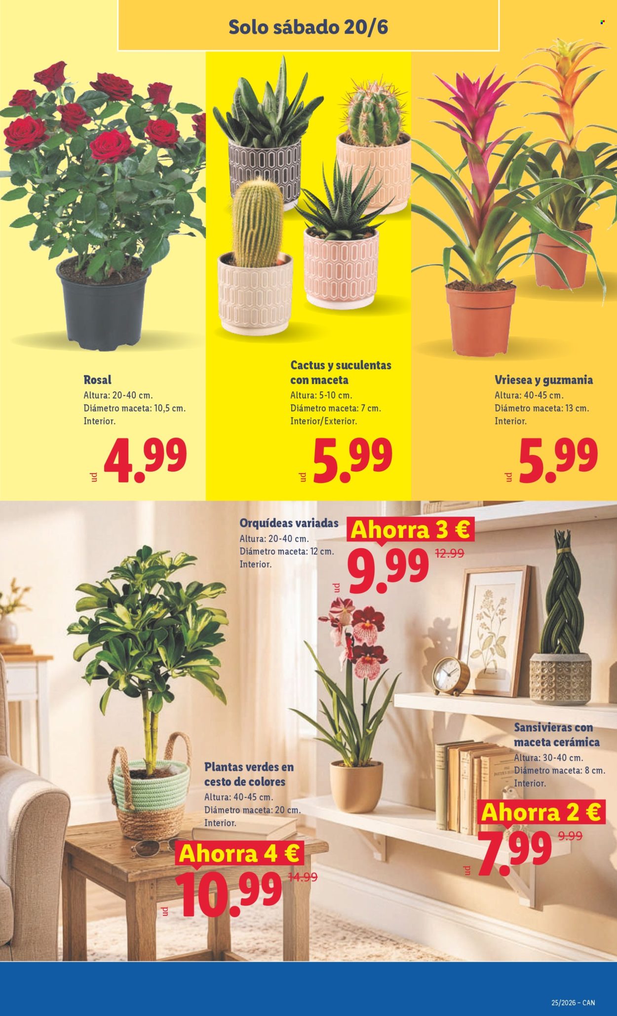 Folleto Lidl - 15/06/26 - 21/06/26. Página 65