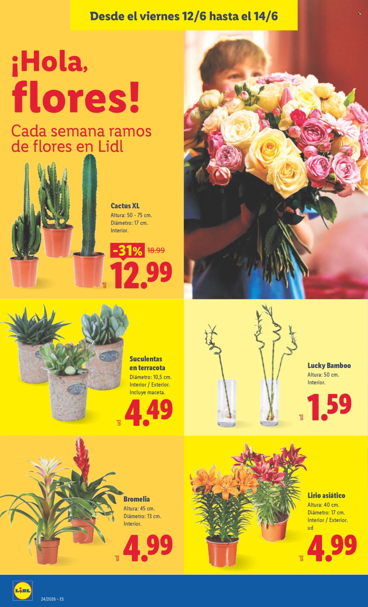 Folleto Lidl - 08/06/26 - 14/06/26. Página 50