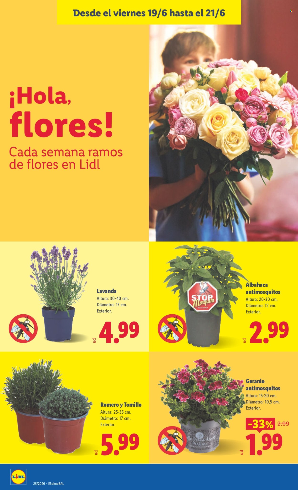 Folleto Lidl - 15/06/26 - 21/06/26. Página 64