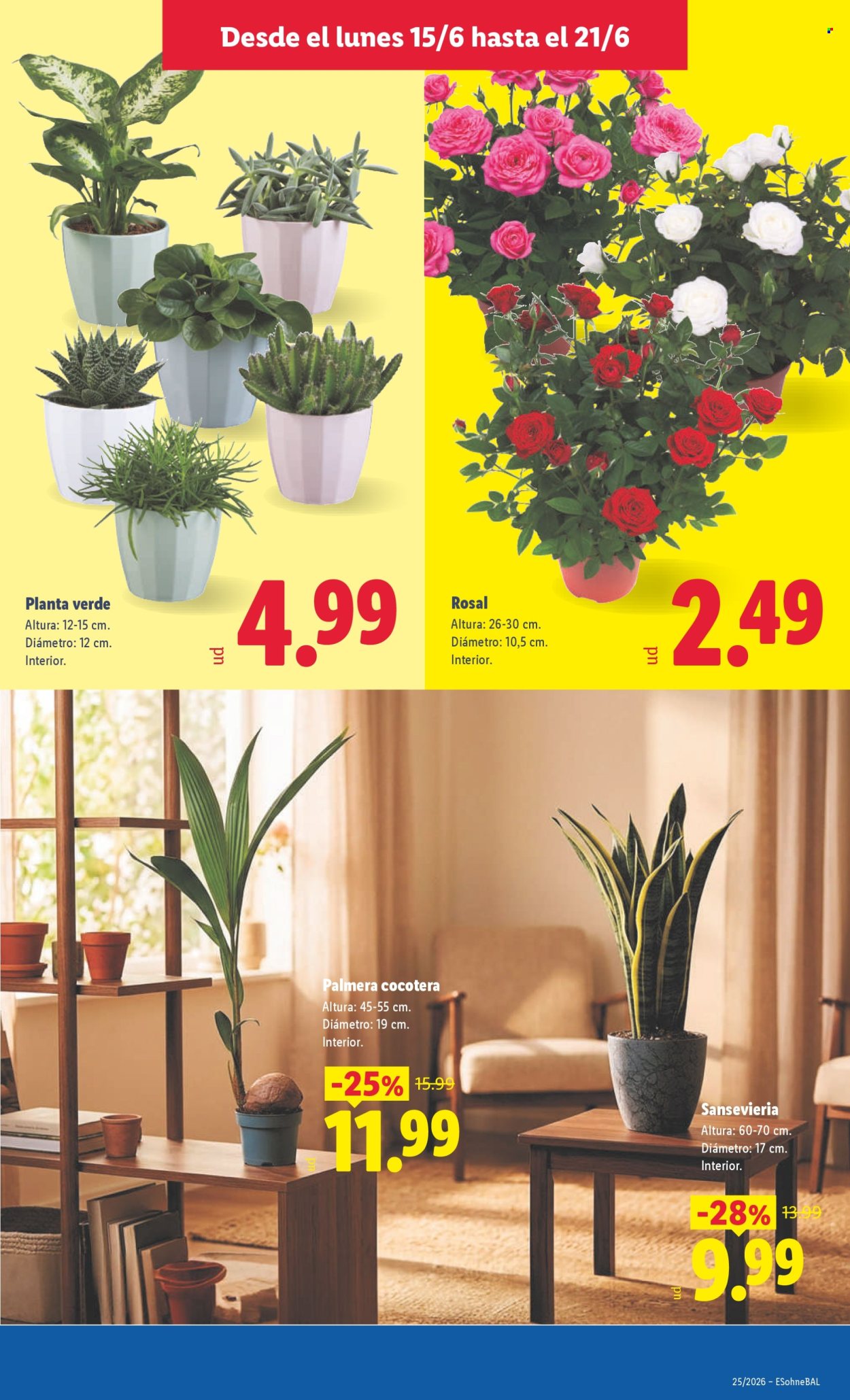 Folleto Lidl - 15/06/26 - 21/06/26. Página 65
