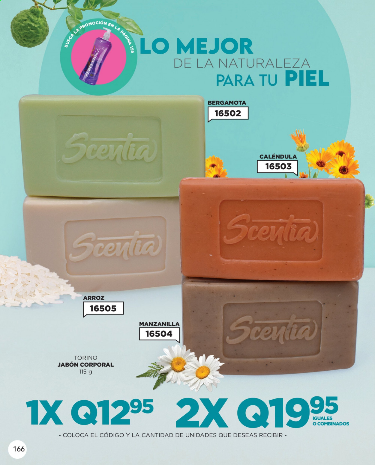 Catálogo Scentia - 1.8.2021 - 31.8.2021. Página 170