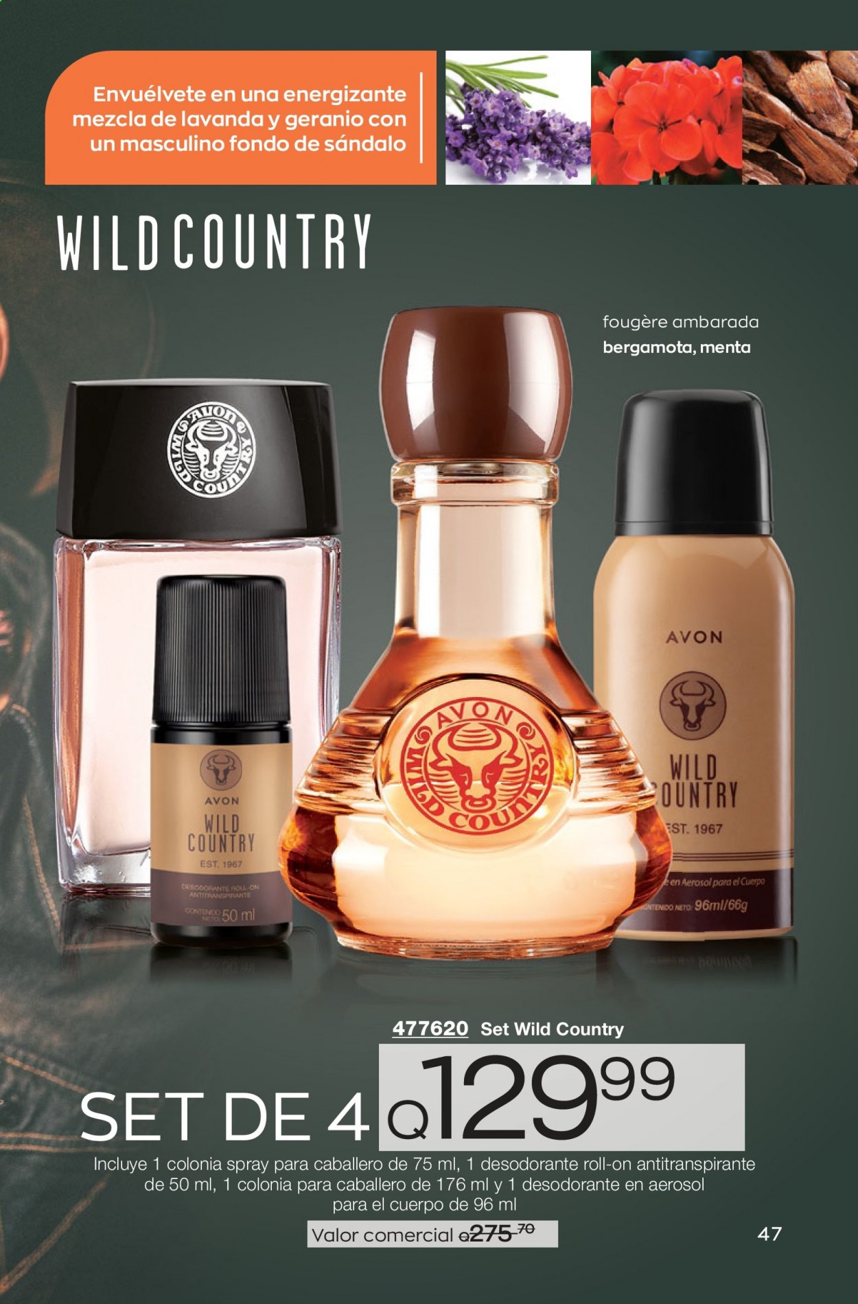 Catálogo Avon. Página 47