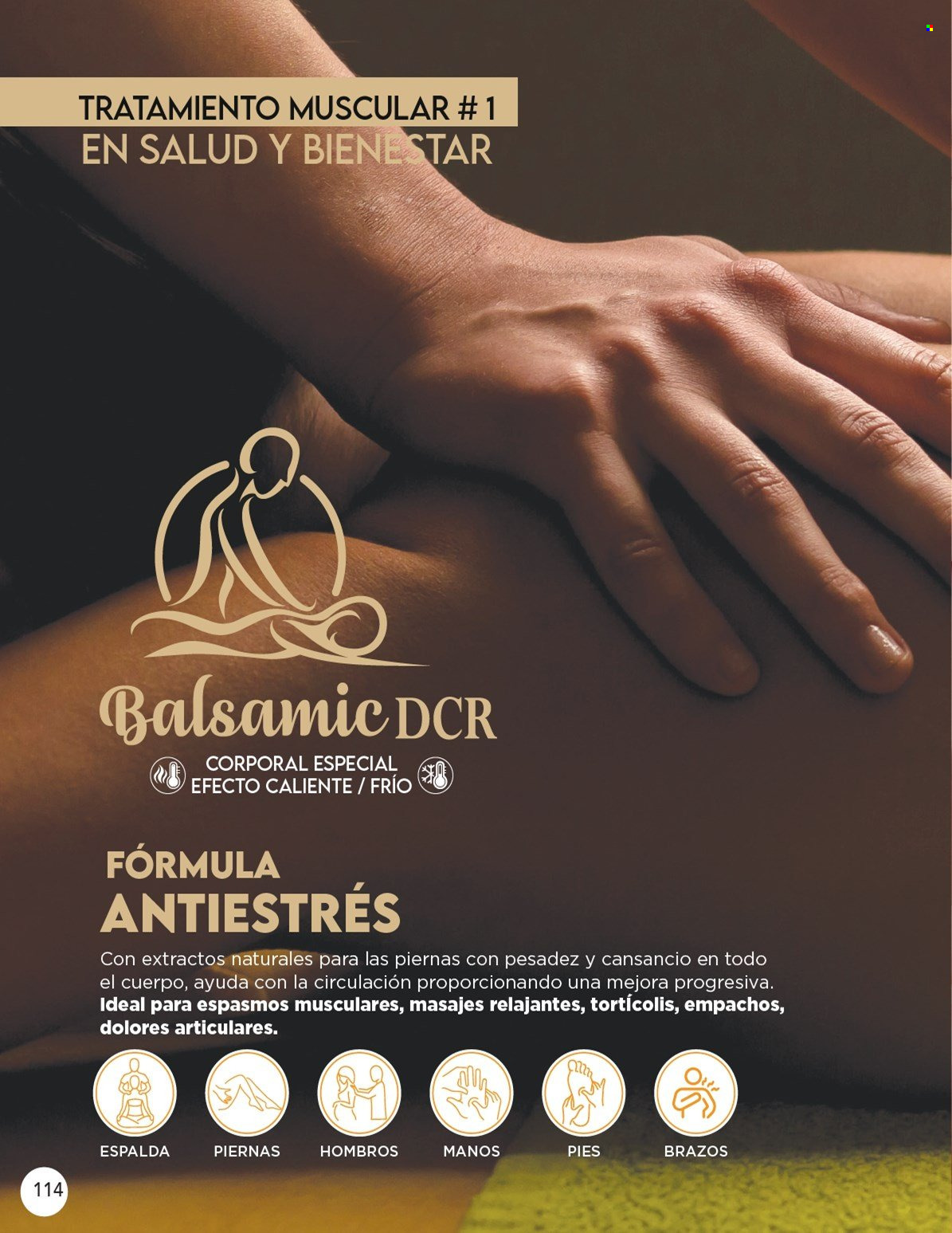 Catálogo Scentia - 1.12.2021 - 31.12.2021. Página 123