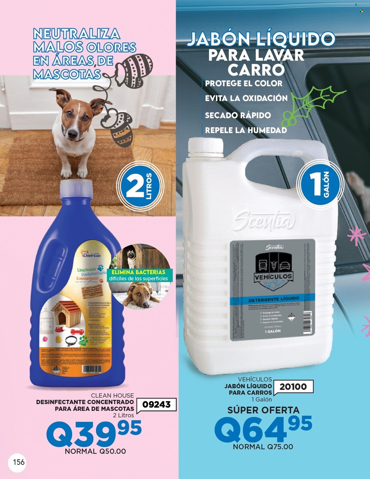 Catálogo Scentia - 1.12.2021 - 31.12.2021. Página 167