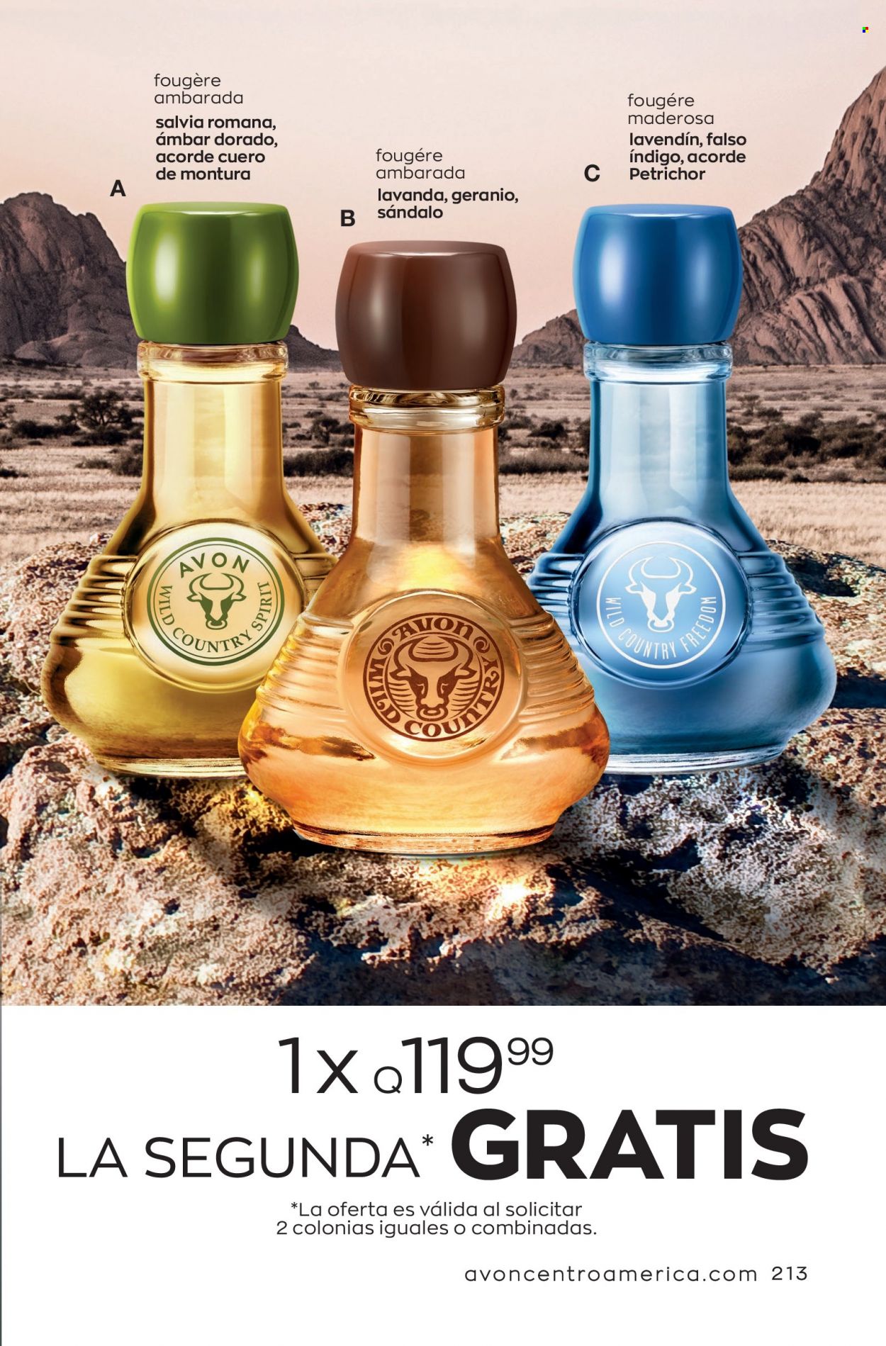 Catálogo Avon. Página 213