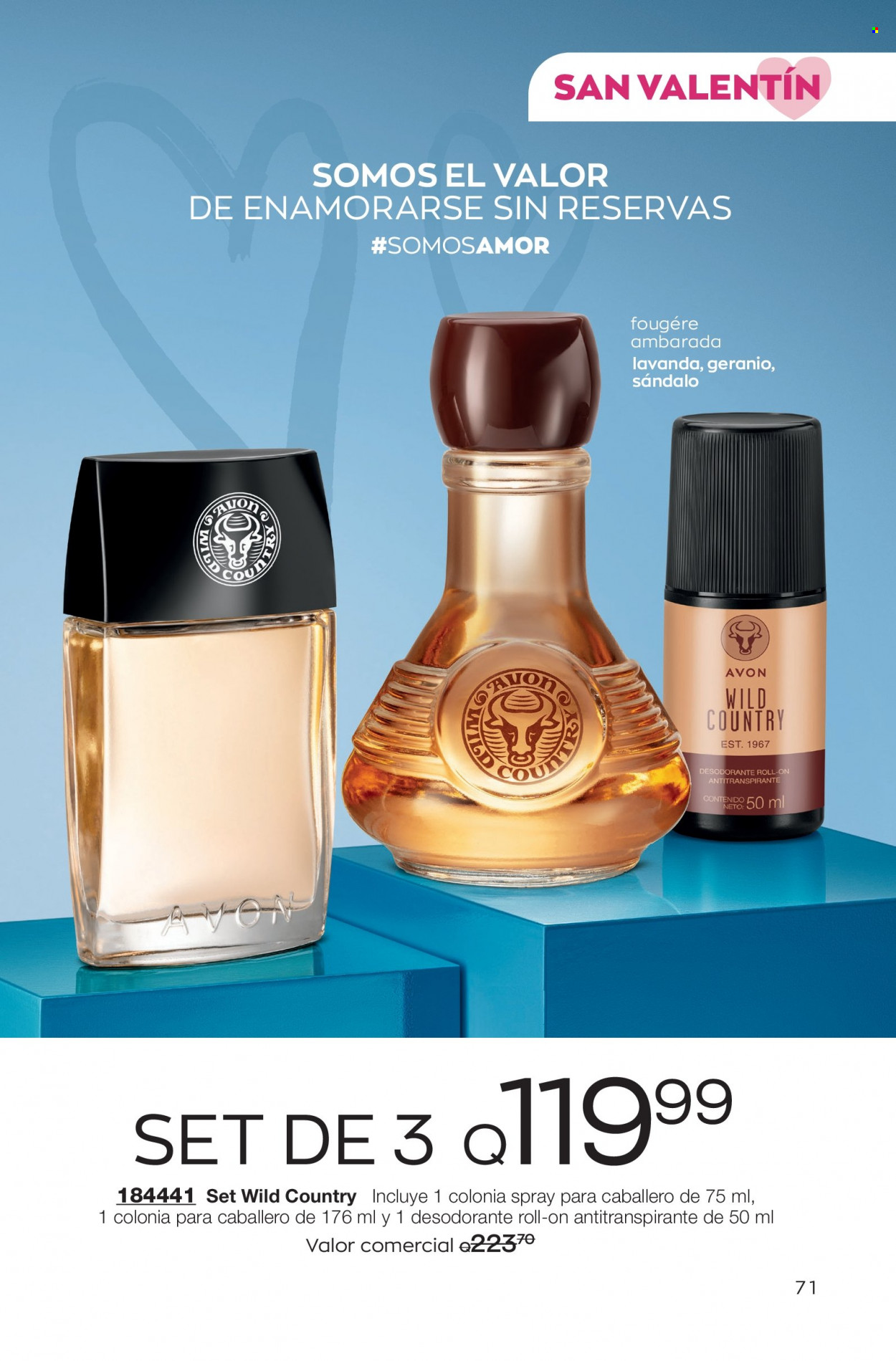 Catálogo Avon. Página 71