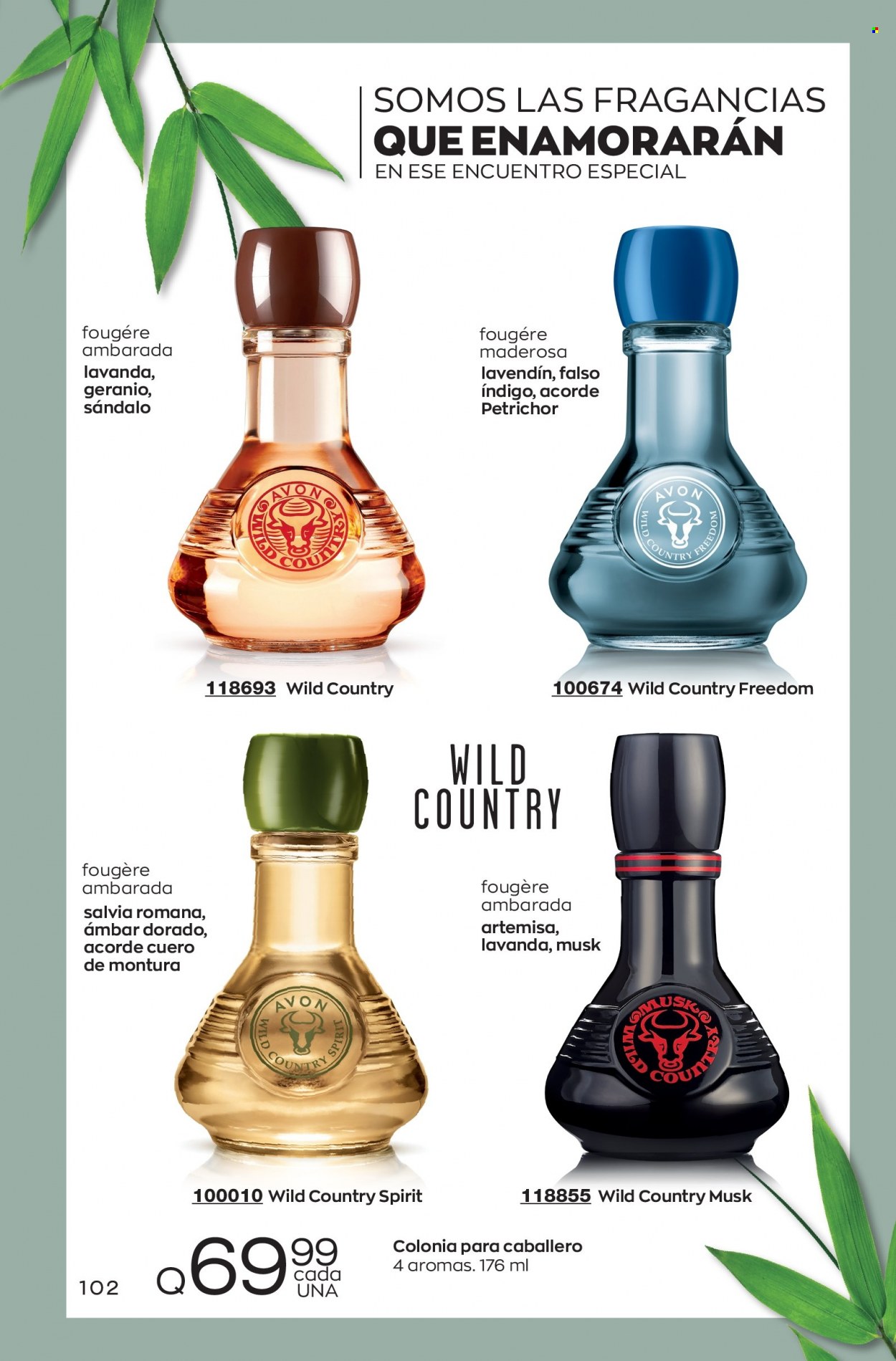Catálogo Avon. Página 102