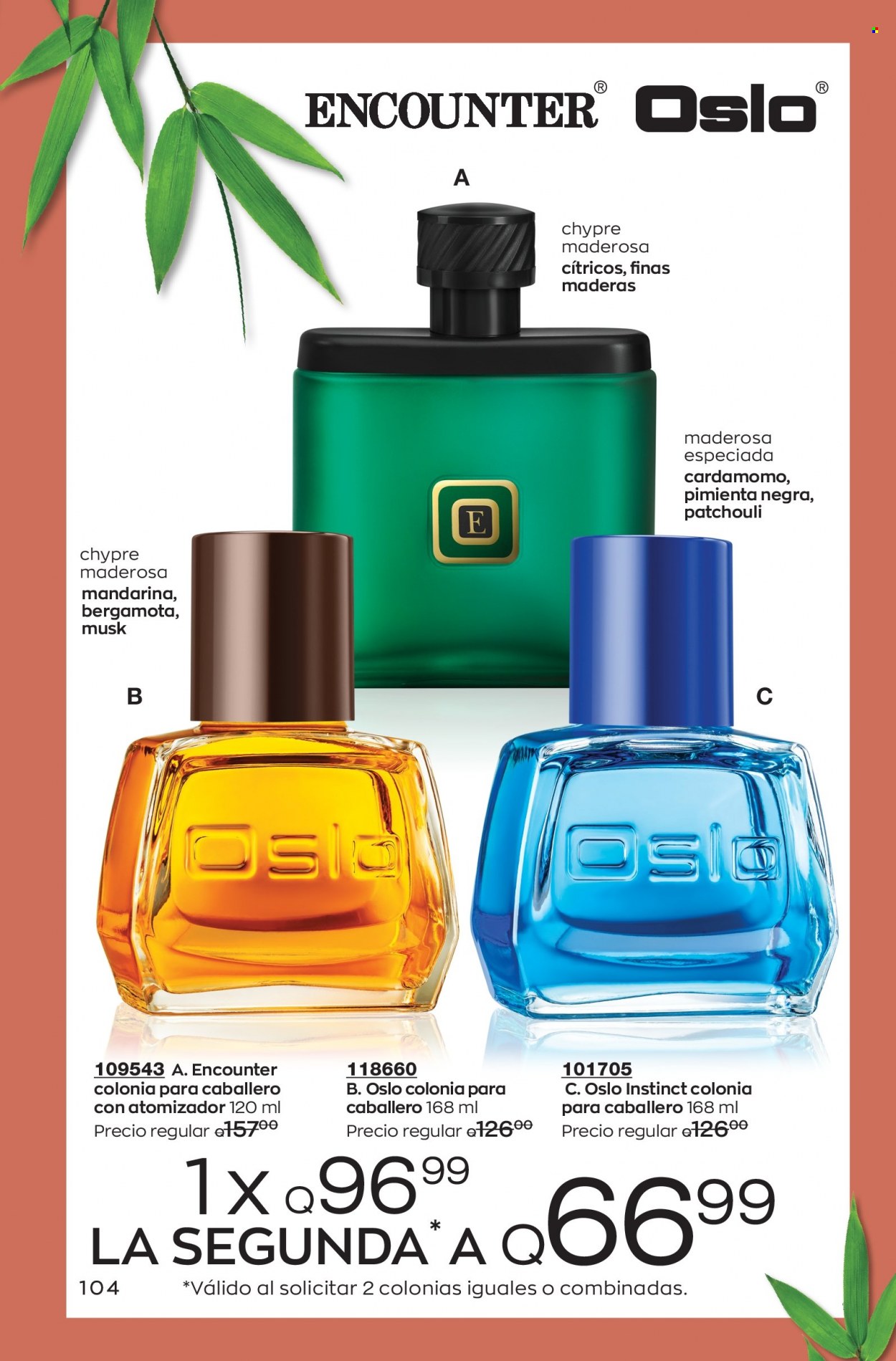 Catálogo Avon. Página 104
