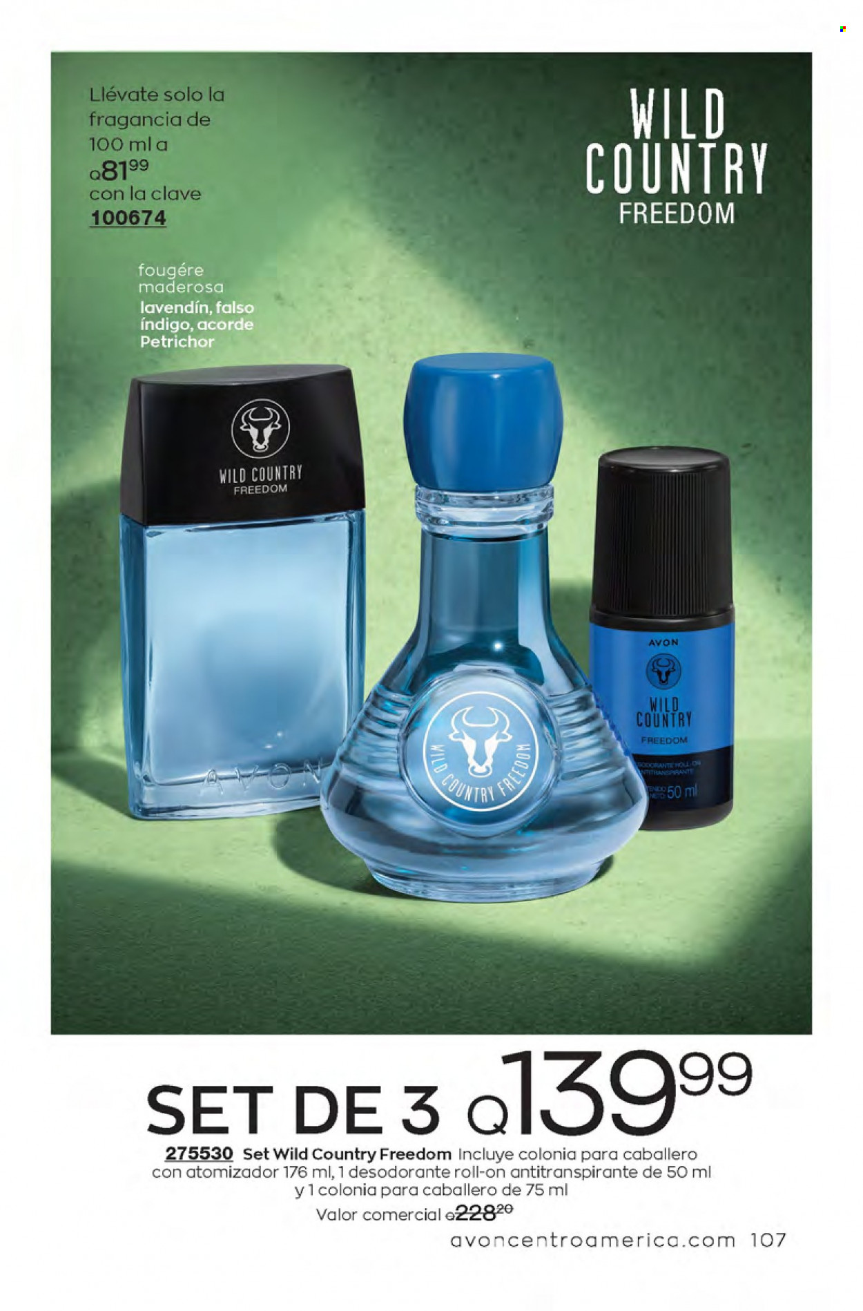 Catálogo Avon. Página 107