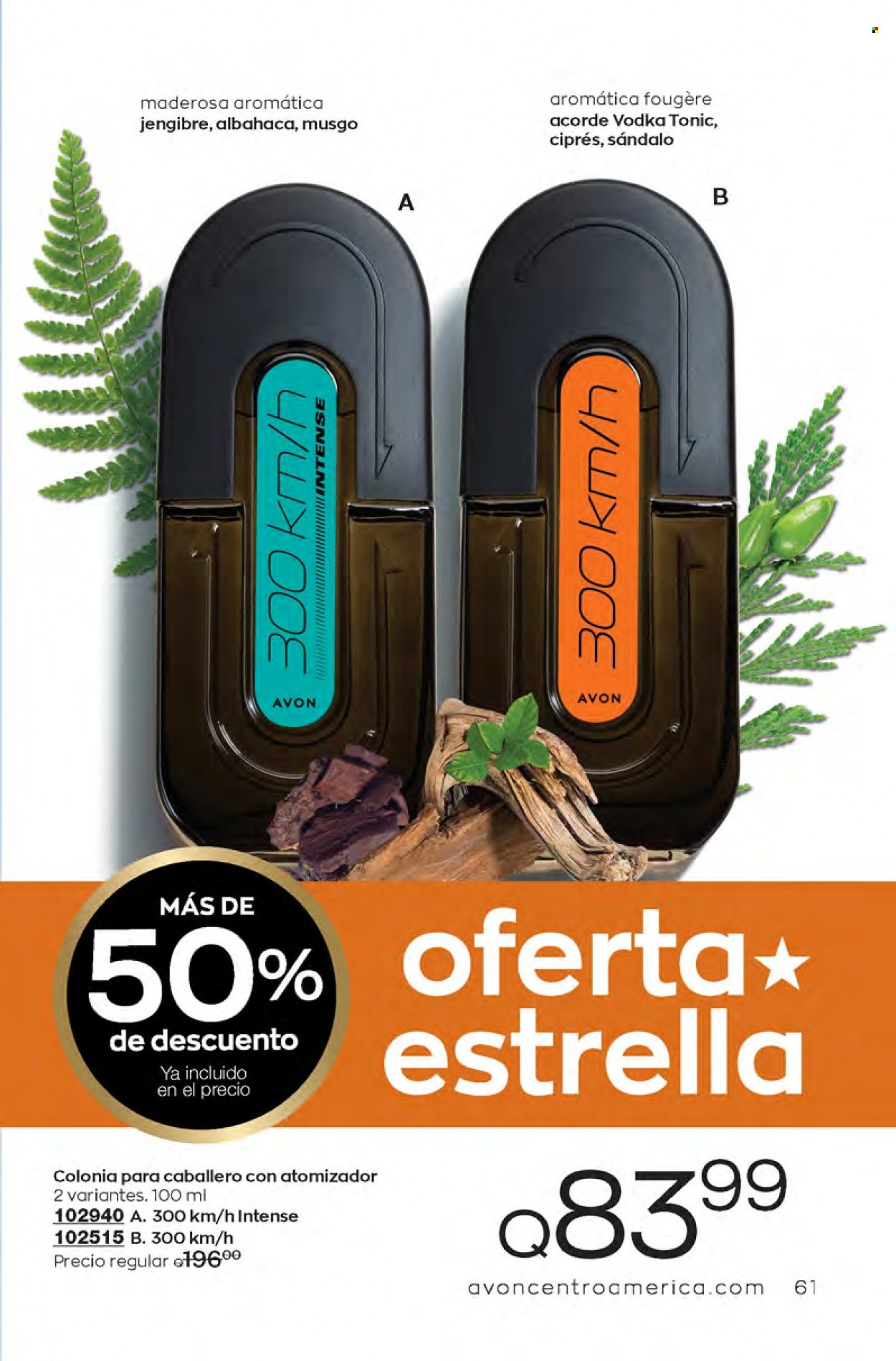 Catálogo Avon. Página 61