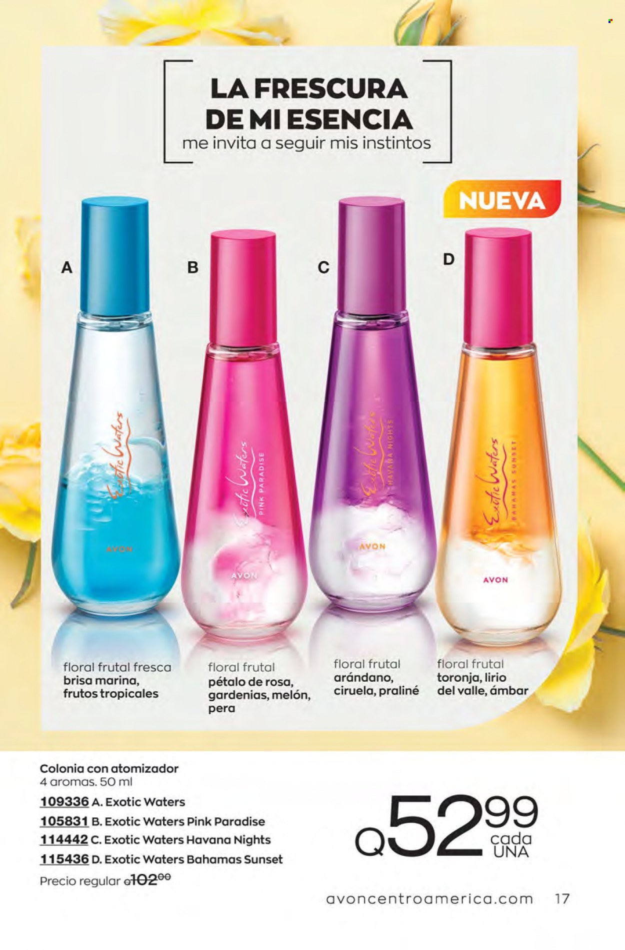 Catálogo Avon. Página 17