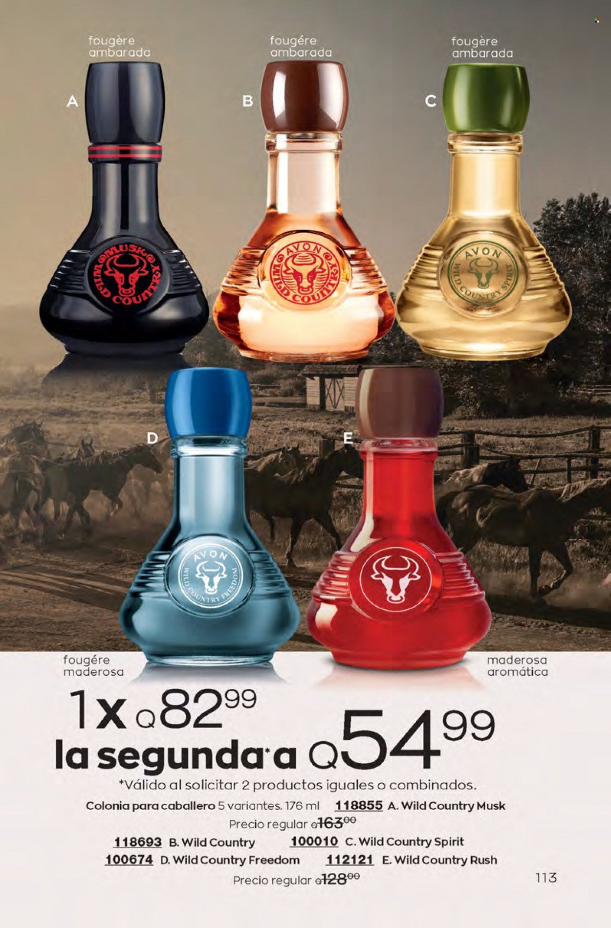 Catálogo Avon. Página 113