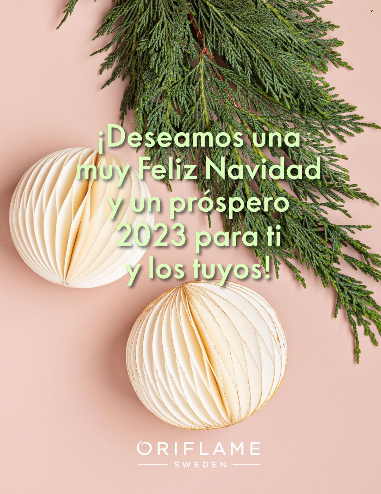 Catálogo Oriflame - 1.12.2022 - 31.12.2022. Página 14