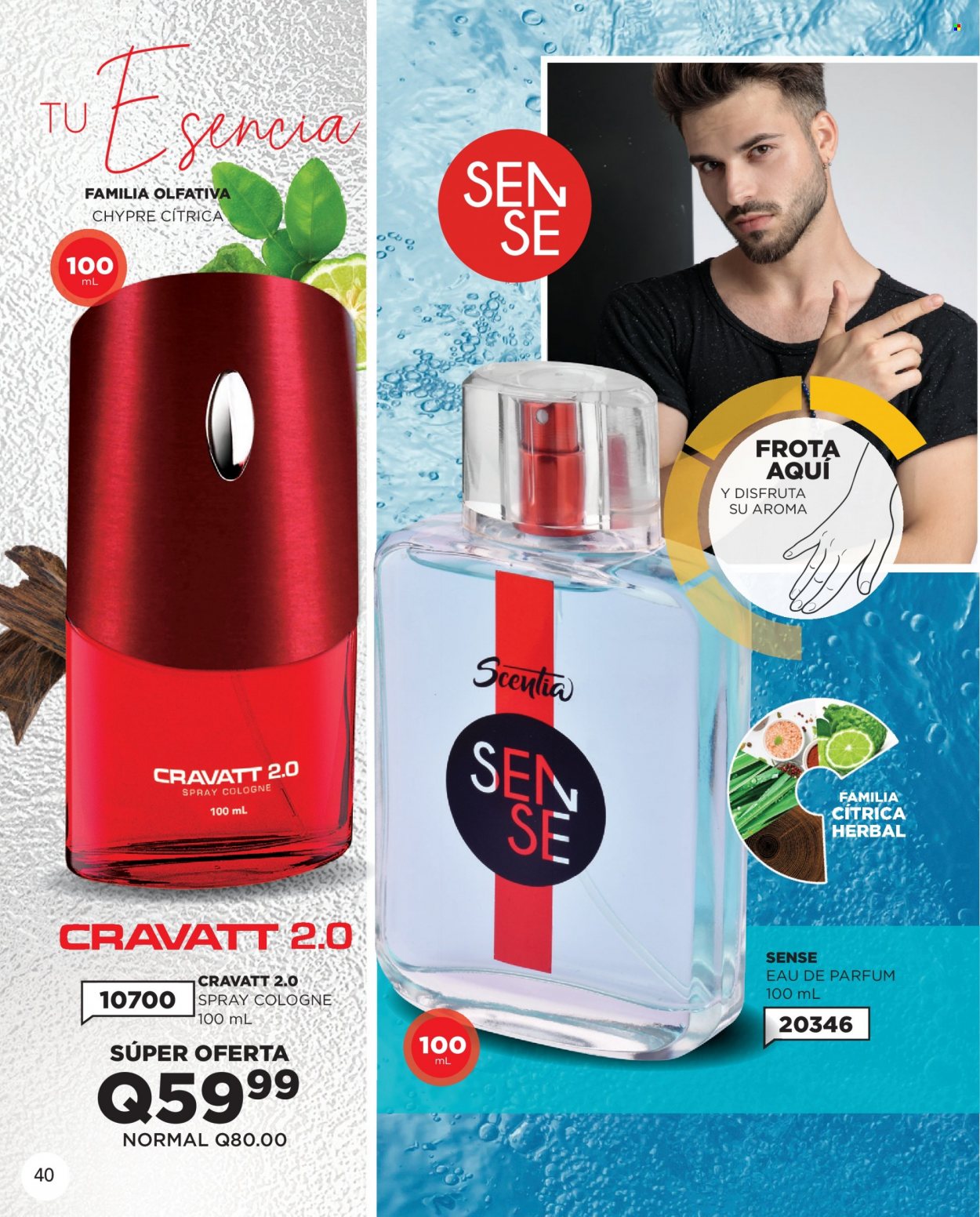 Catálogo Scentia - 1.1.2023 - 31.1.2023. Página 42