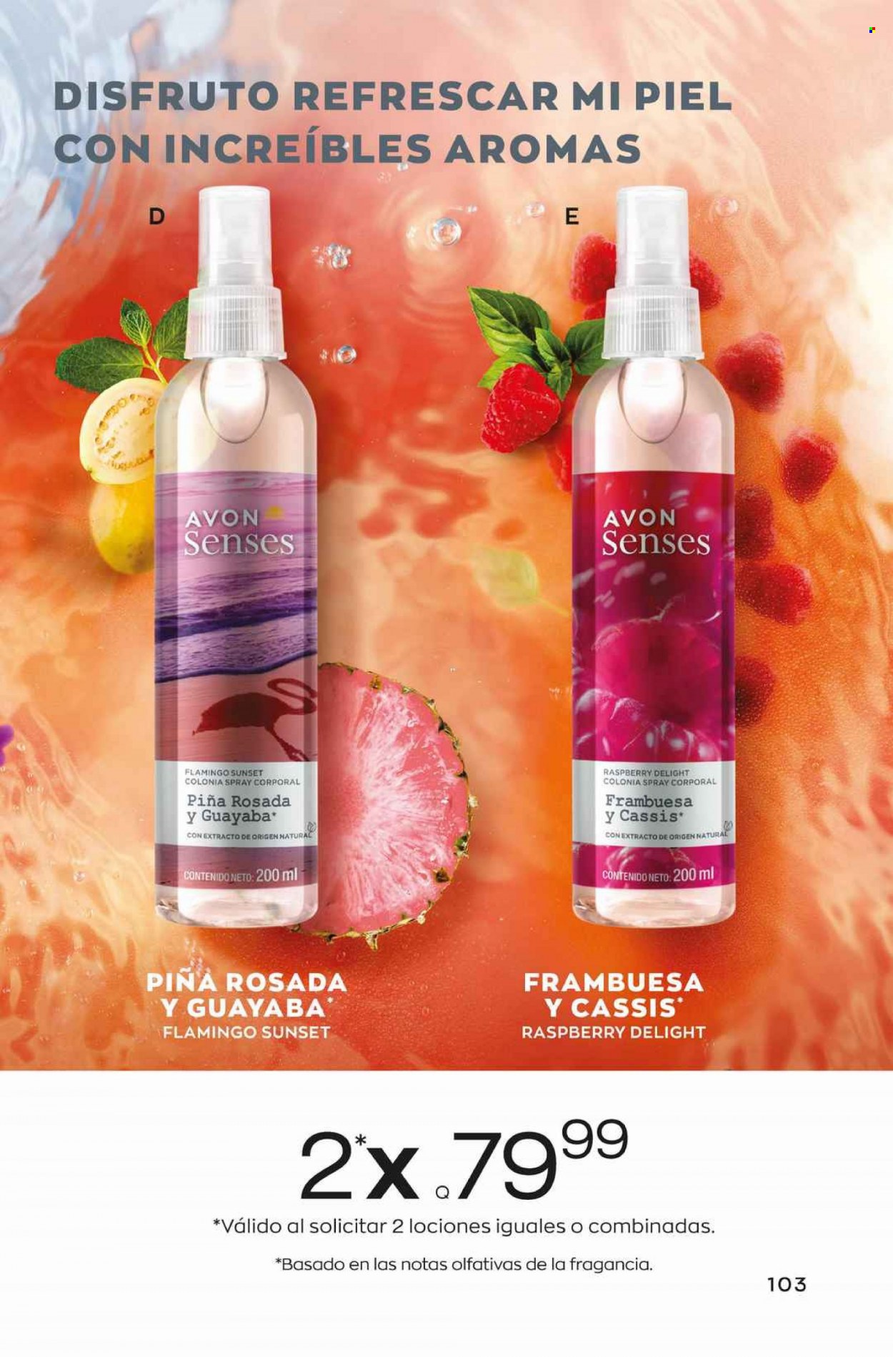 Catálogo Avon. Página 103