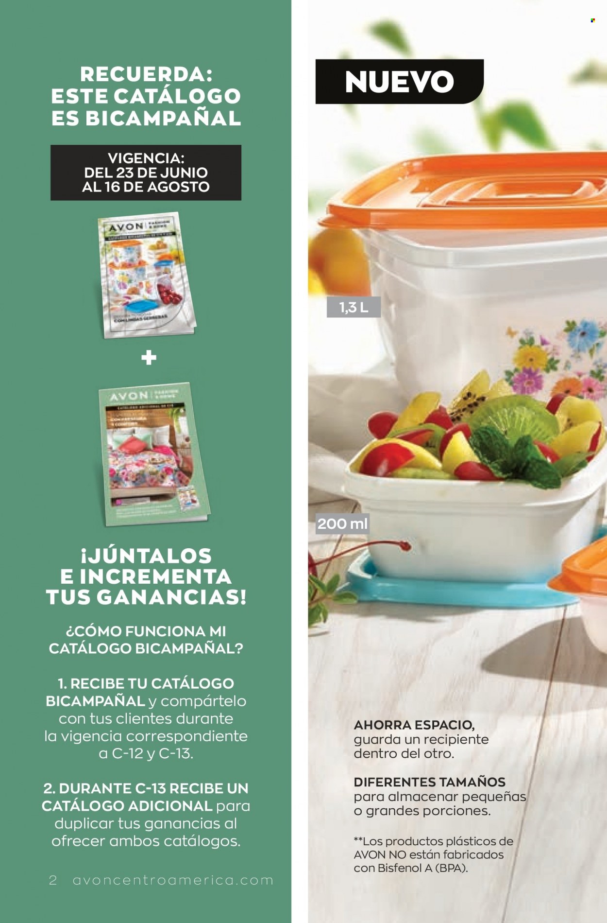Catálogo Avon. Página 2