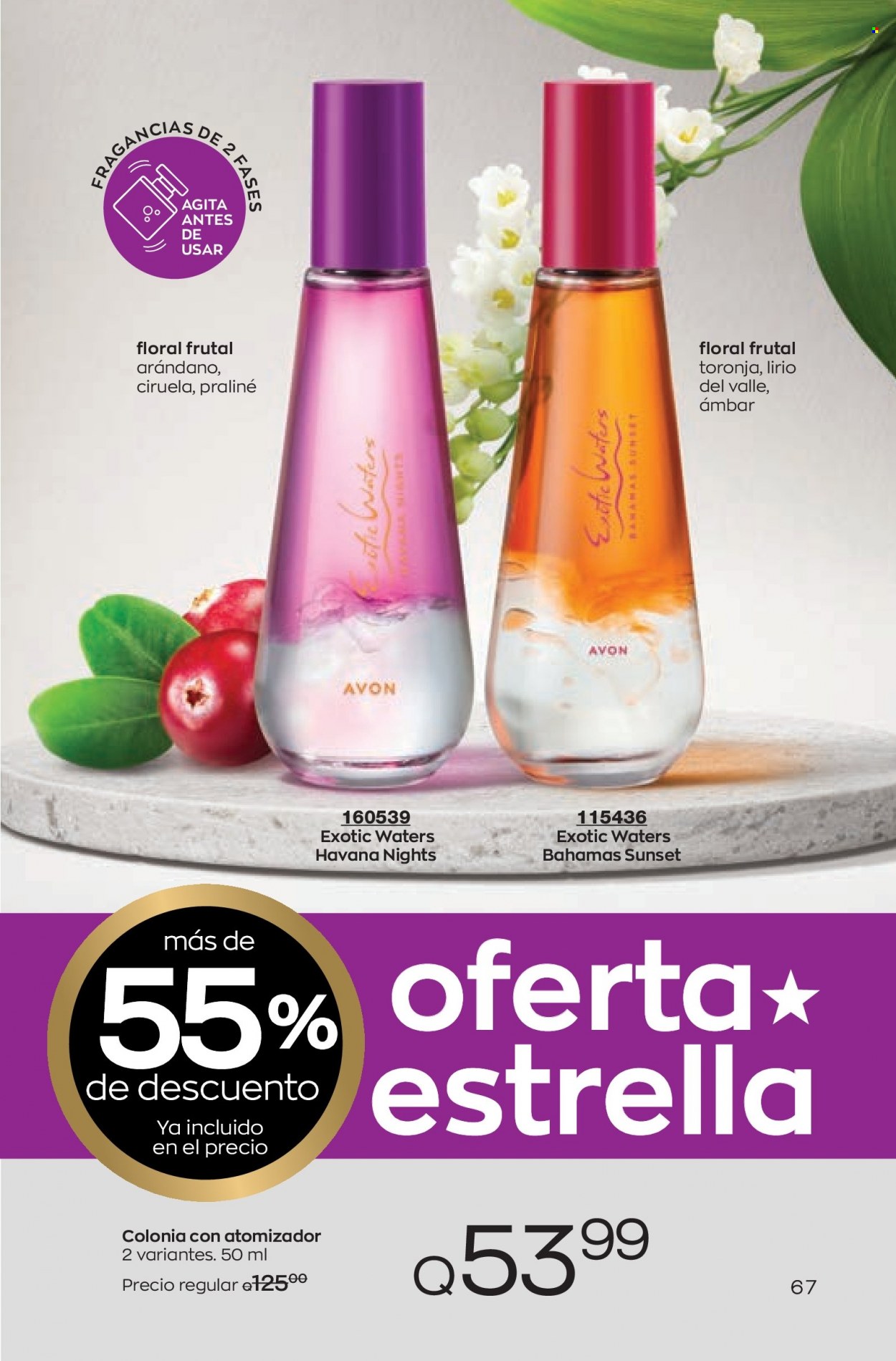 Catálogo Avon. Página 67
