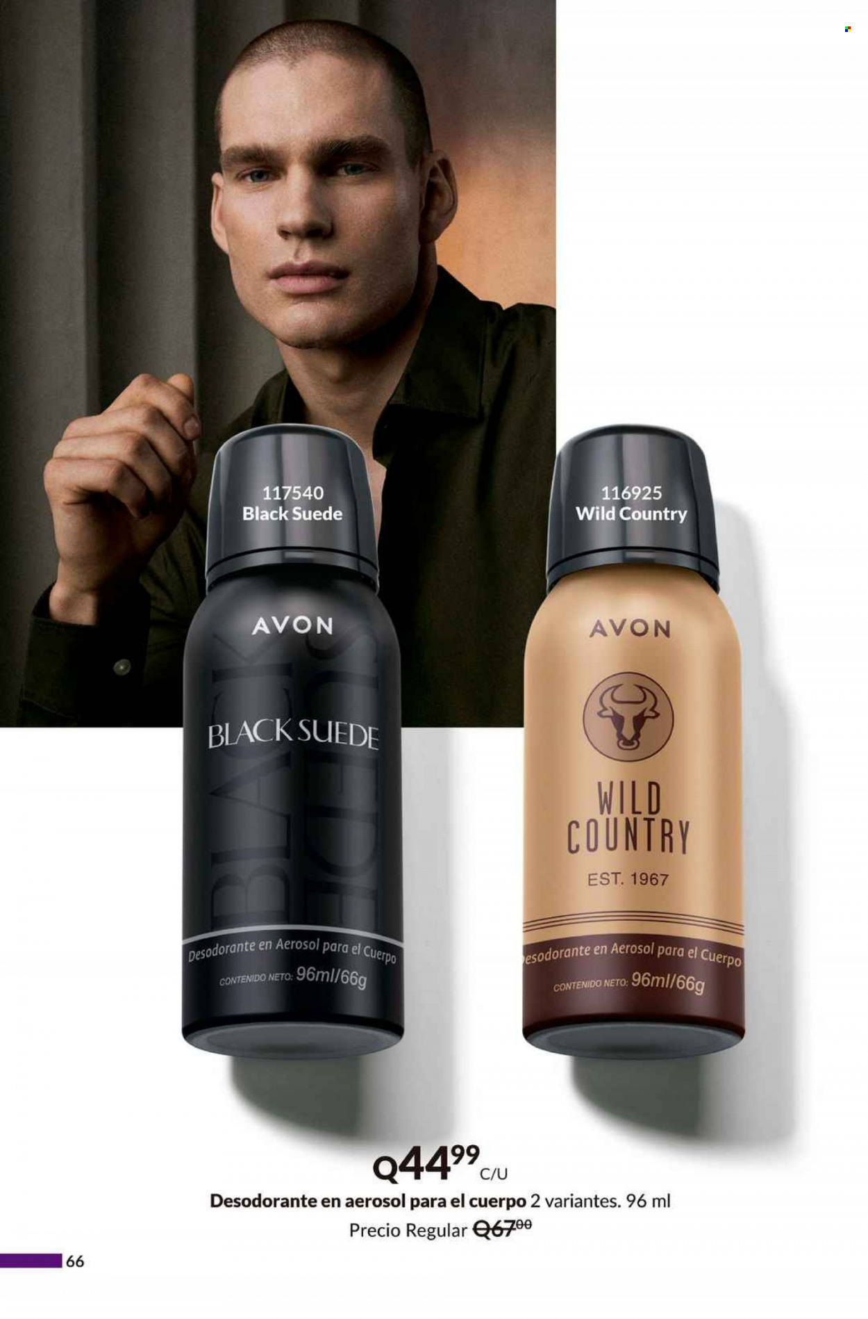Catálogo Avon. Página 66