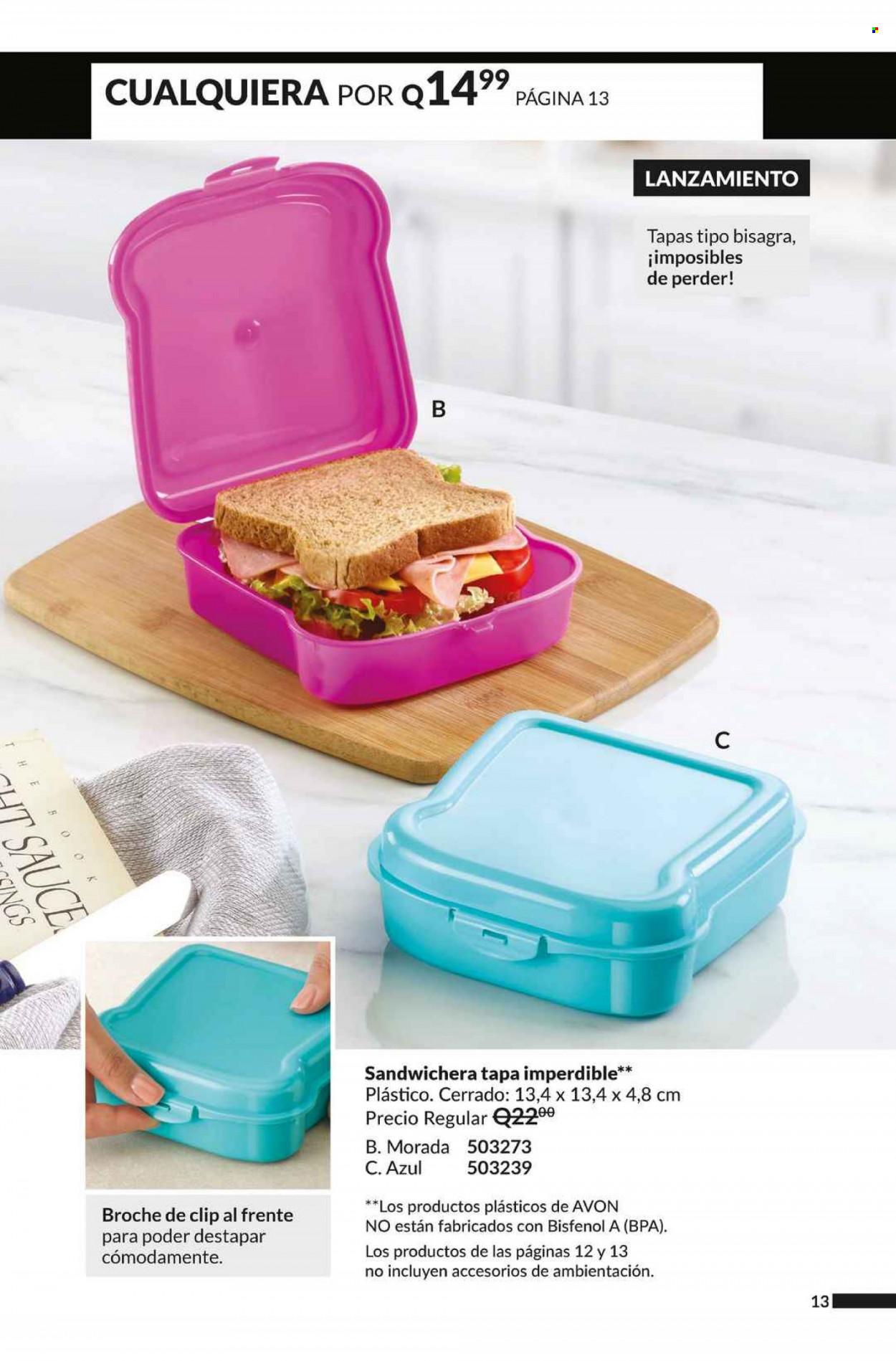 Catálogo Avon. Página 13