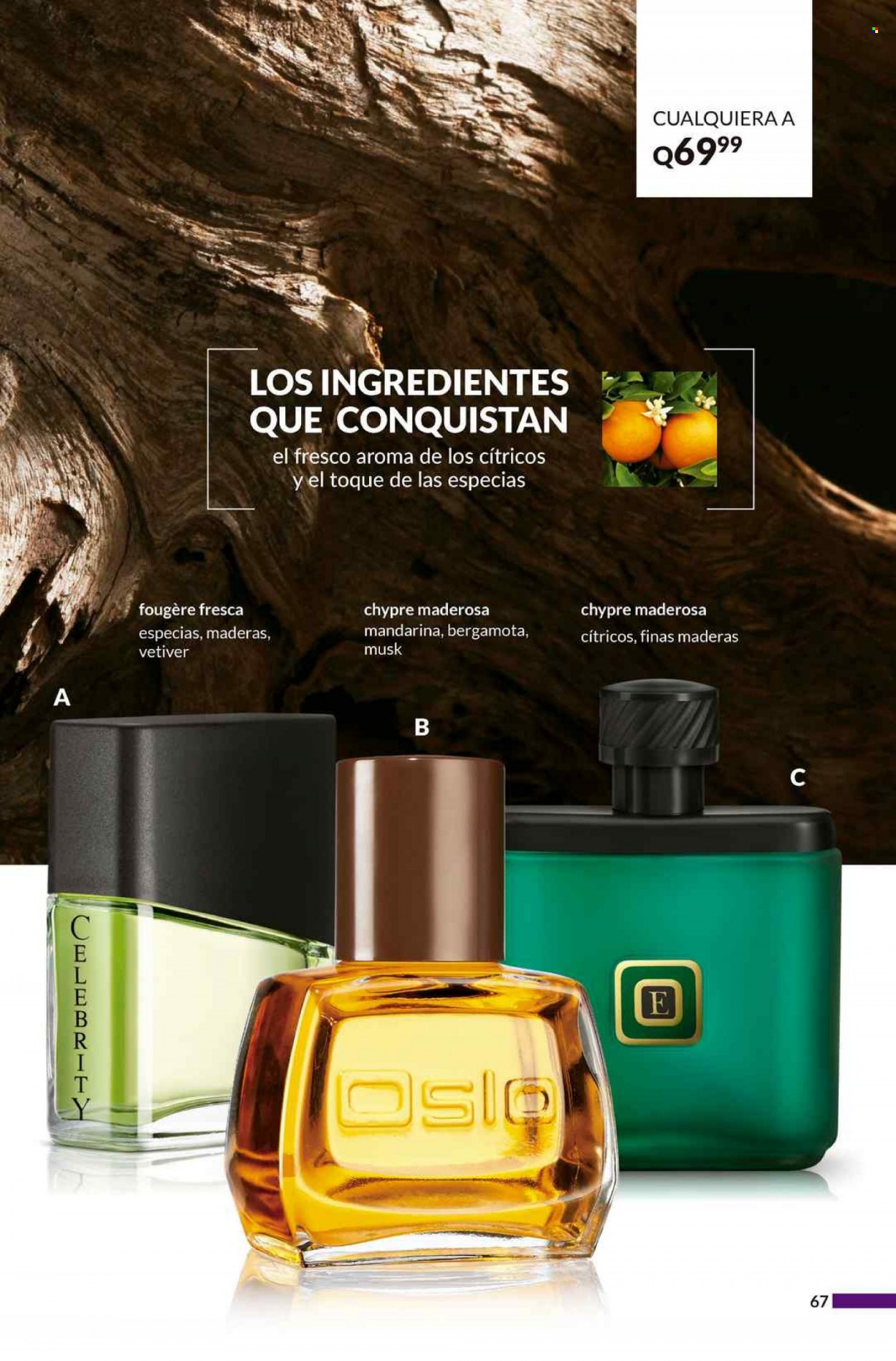 Catálogo Avon. Página 67