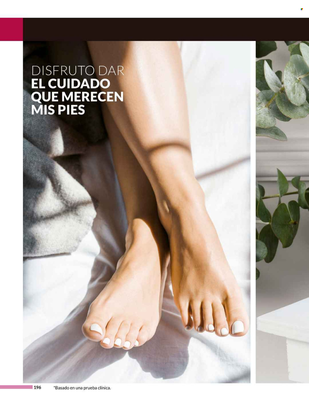 Catálogo Avon - 9.7.2024 - 13.8.2024. Página 196
