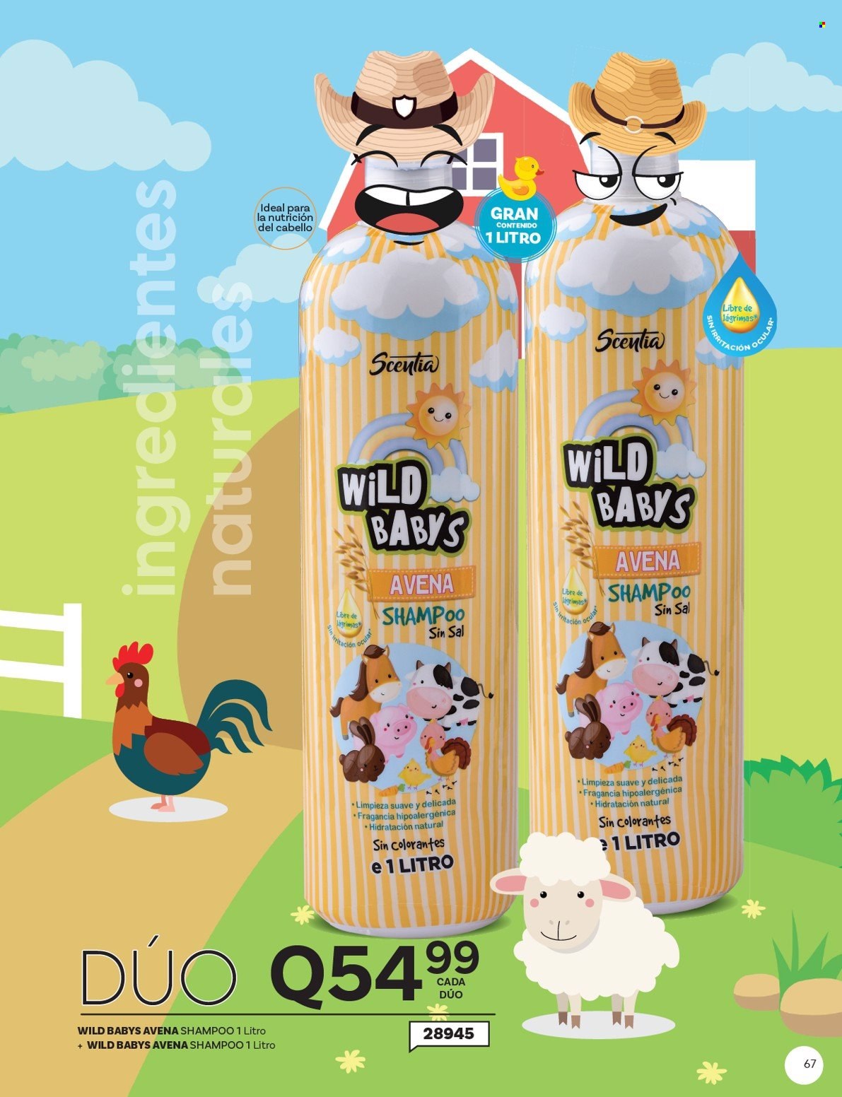 Catálogo Scentia. Página 69