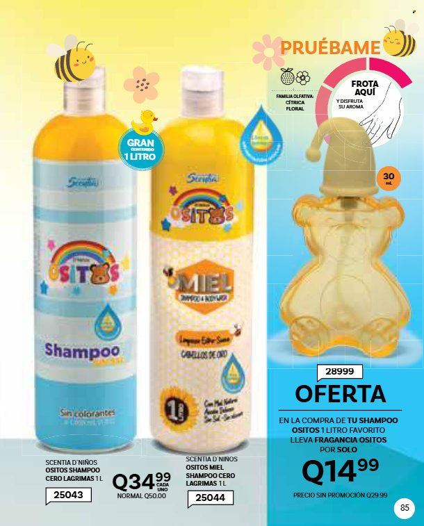 Catálogo Scentia. Página 60