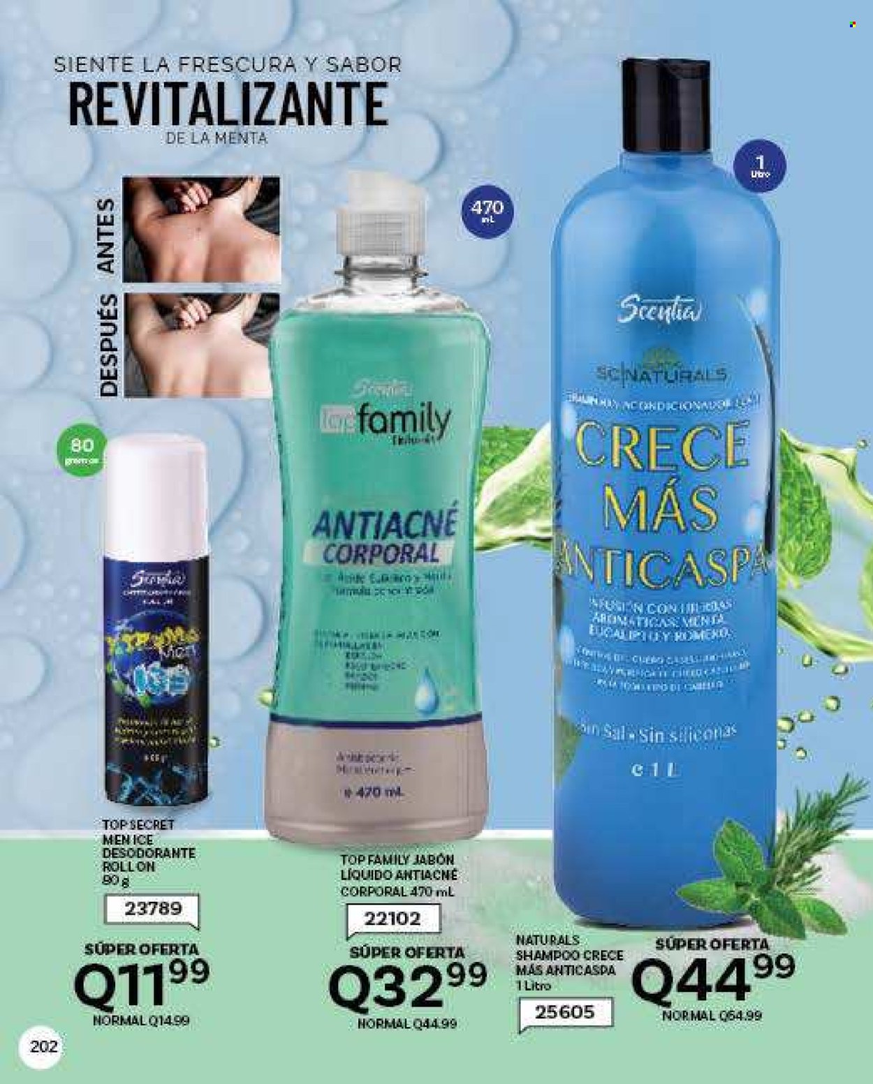 Catálogo Scentia. Página 208