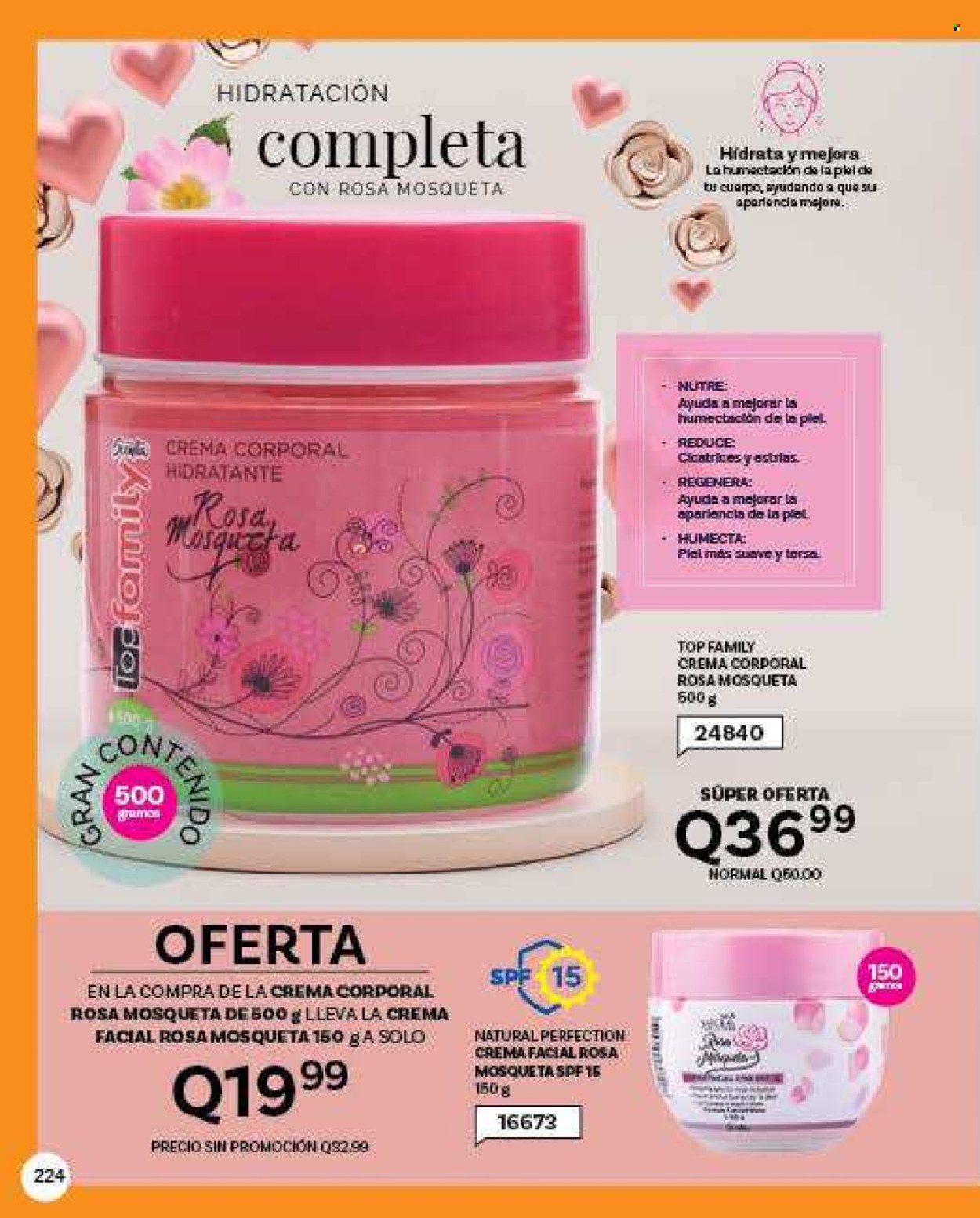 Catálogo Scentia. Página 230