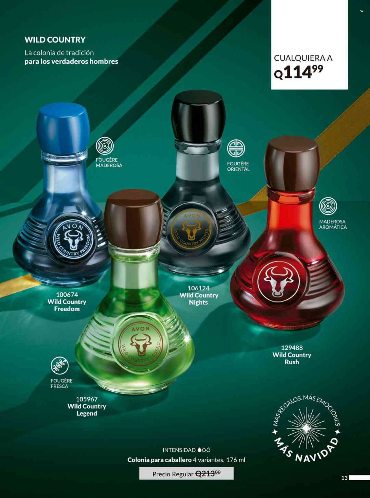 Catálogo Avon - 28.10.2024 - 3.12.2024. Página 13