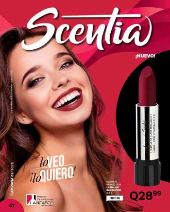 Folleto actual Scentia.