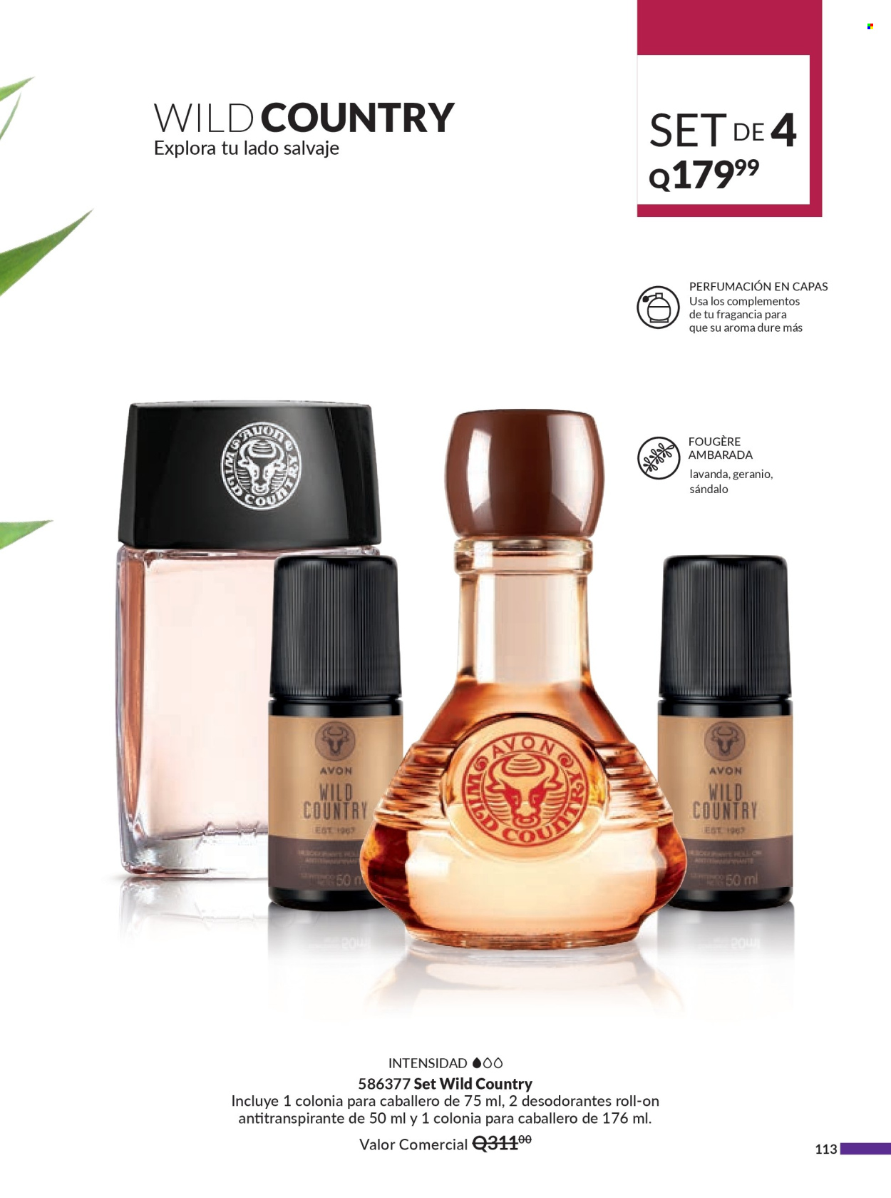 Catálogo Avon - 23.12.2024 - 5.2.2025. Página 113