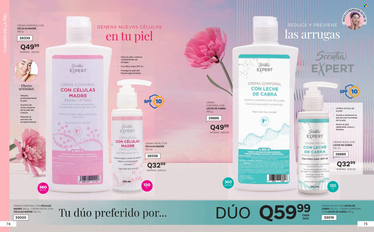 Catálogo Scentia. Página 41