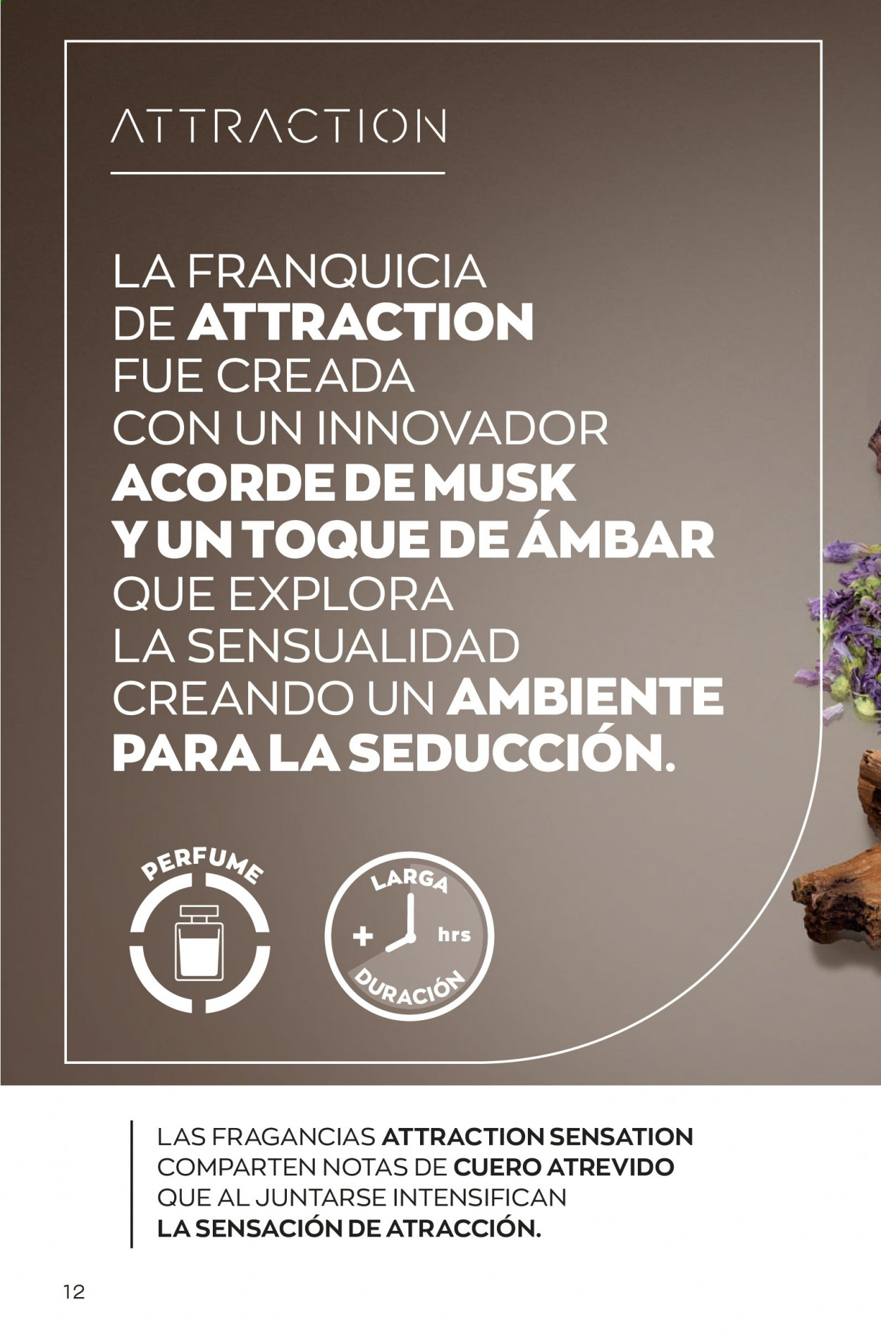 Catálogo Avon. Página 12