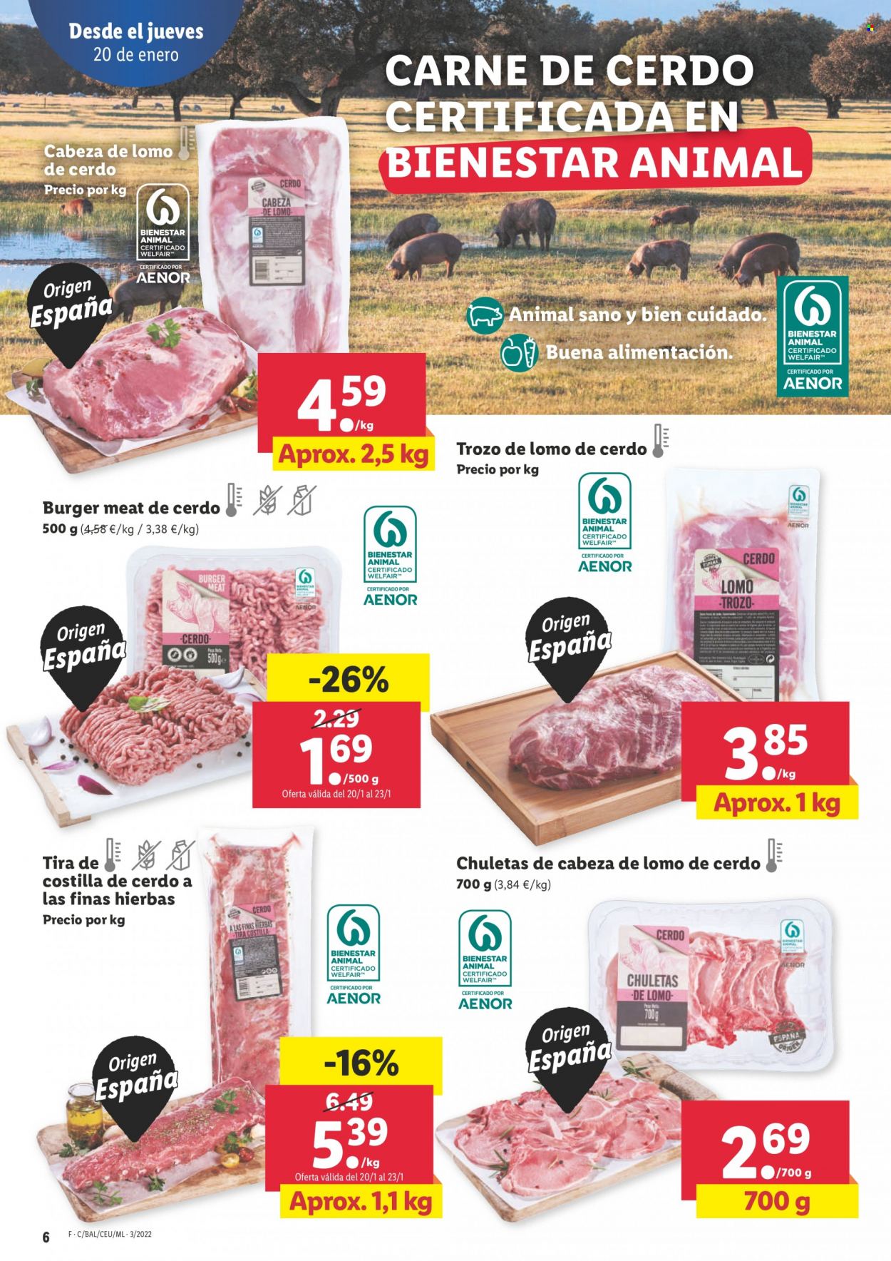 thumbnail - Folleto actual Lidl - 20/01/22 - 26/01/22 - Ventas - lomo de cerdo, costilla, hamburguesa, carne picada. Página 6.