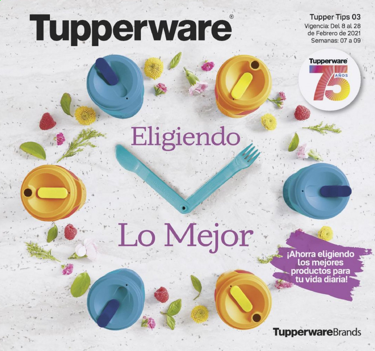 thumbnail - Catálogo Tupperware - 8.2.2021 - 28.2.2021.
