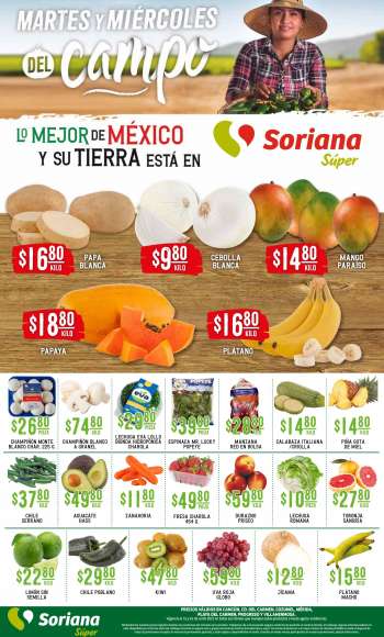 Folleto actual Soriana Súper - 15.6.2021 - 16.6.2021.