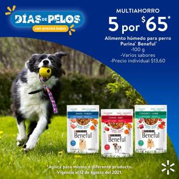 Folleto actual Walmart - 12.8.2021 - 12.8.2021.