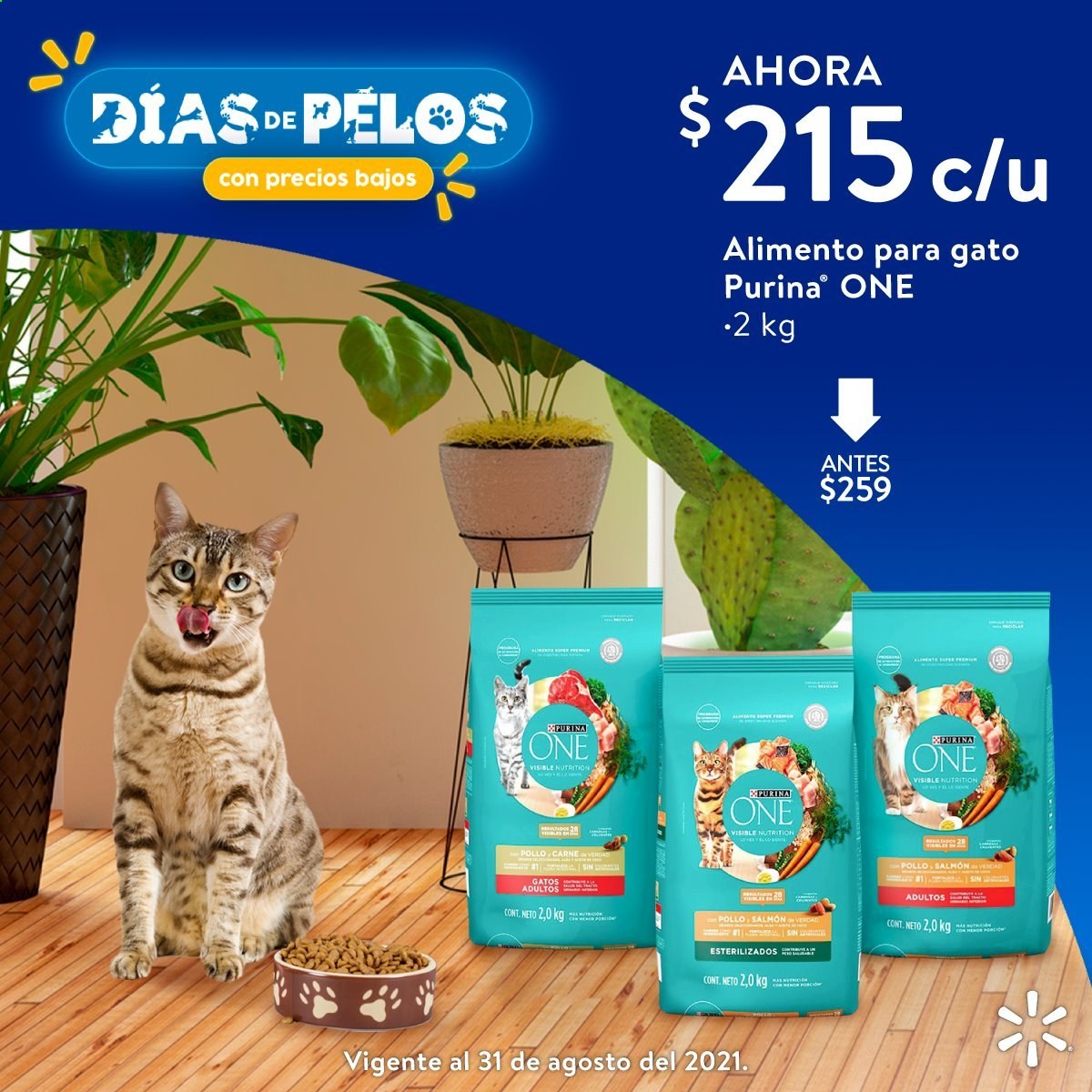 Catálogo Walmart - 21.8.2021 - 31.8.2021. Página 16