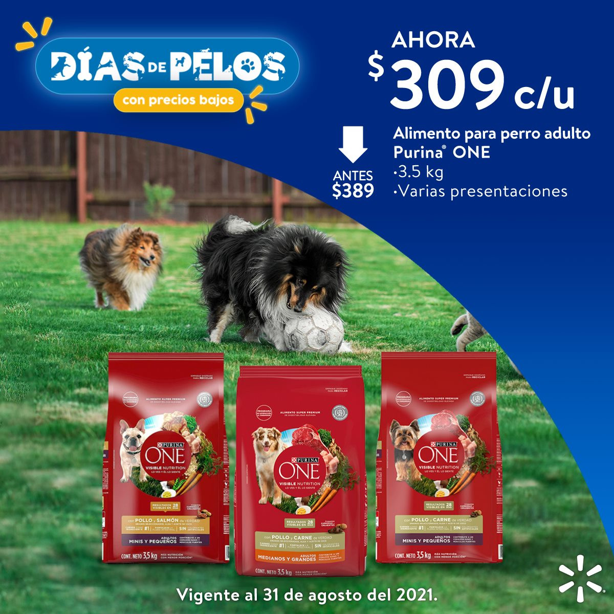 Catálogo Walmart - 21.8.2021 - 31.8.2021. Página 11