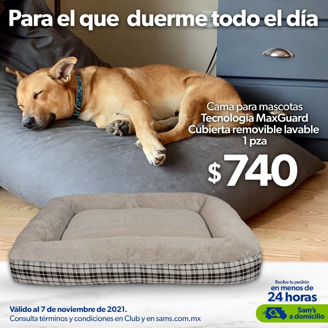 Catálogo Sam's Club - 21.10.2021 - 7.11.2021. Página 21