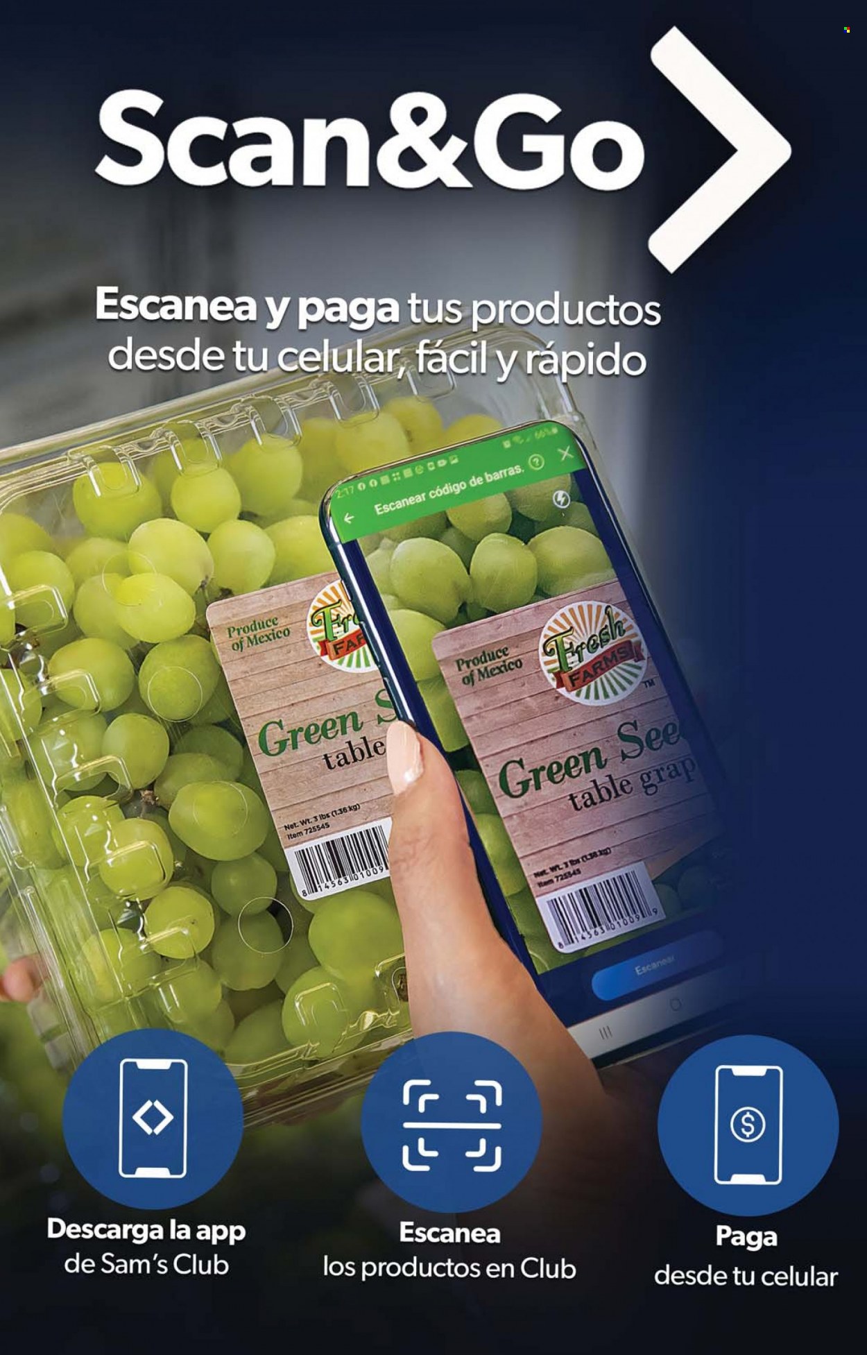 Catálogo Sam's Club - 8.11.2021 - 21.11.2021. Página 33