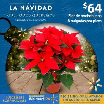 Folleto actual Walmart - 3.12.2021 - 5.12.2021.