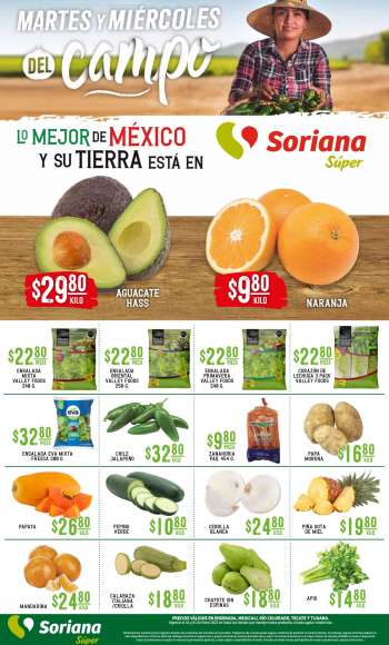 Folleto actual Soriana Súper - 4.1.2022 - 5.1.2022.