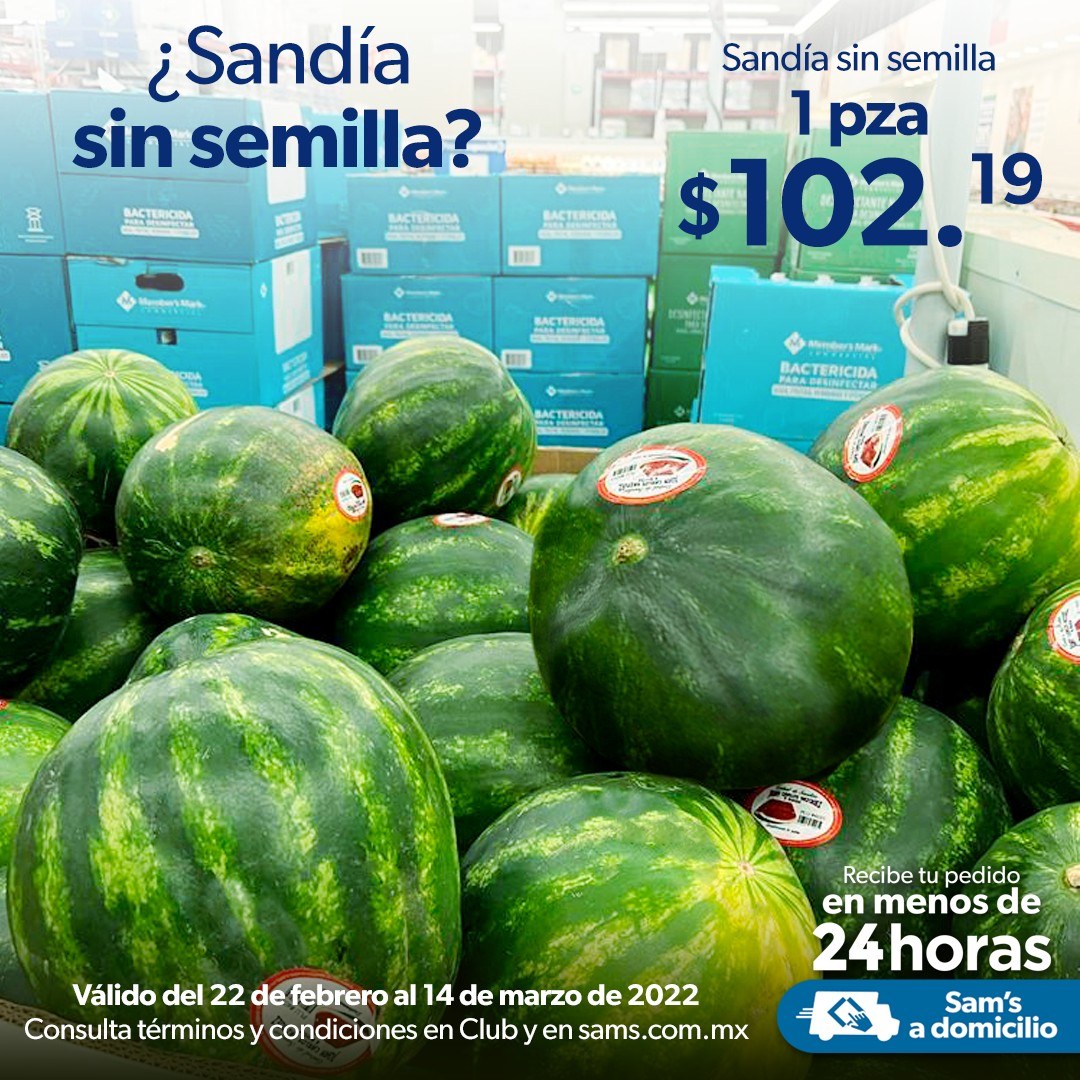 Catálogo Sam's Club - 22.2.2022 - 14.3.2022. Página 24