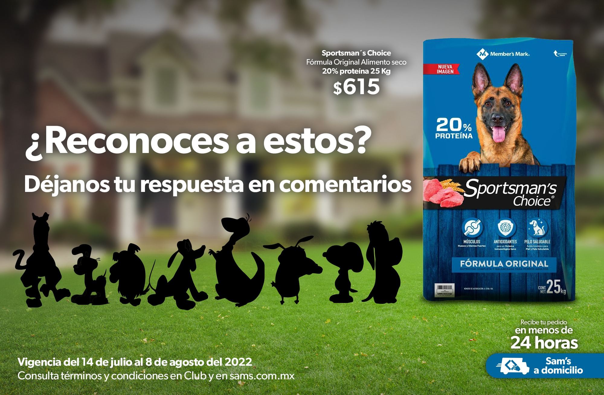 Catálogo Sam's Club - 14.7.2022 - 8.8.2022. Página 171